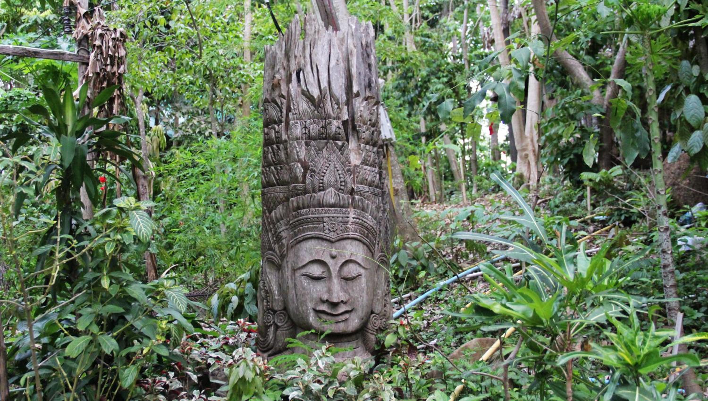 Viking Nature Resort
