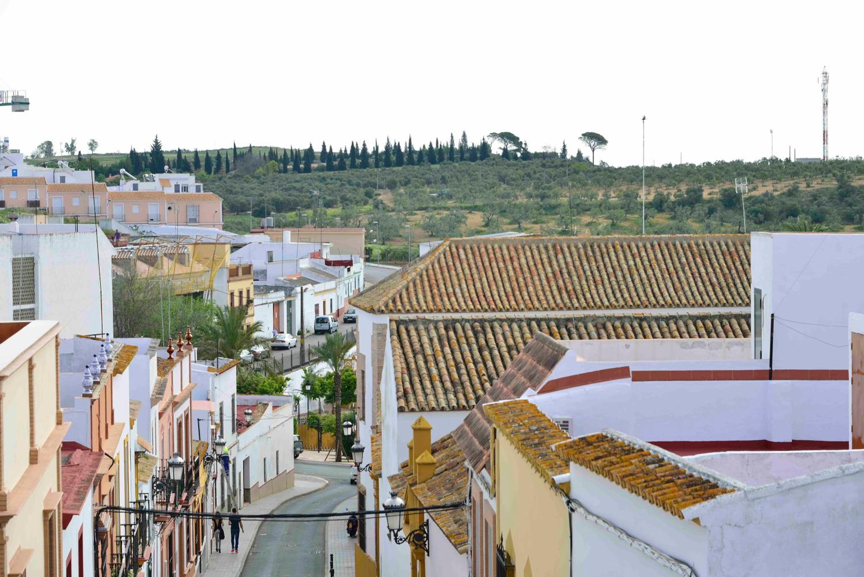 New Andalusian House 31 Free Private Parking view 5
