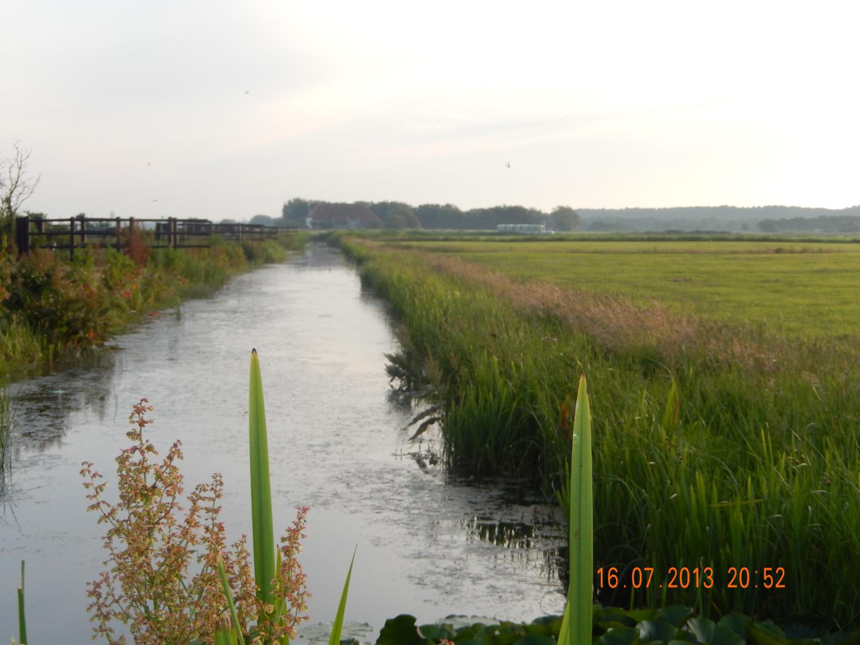 vakantiehuis op terschelling