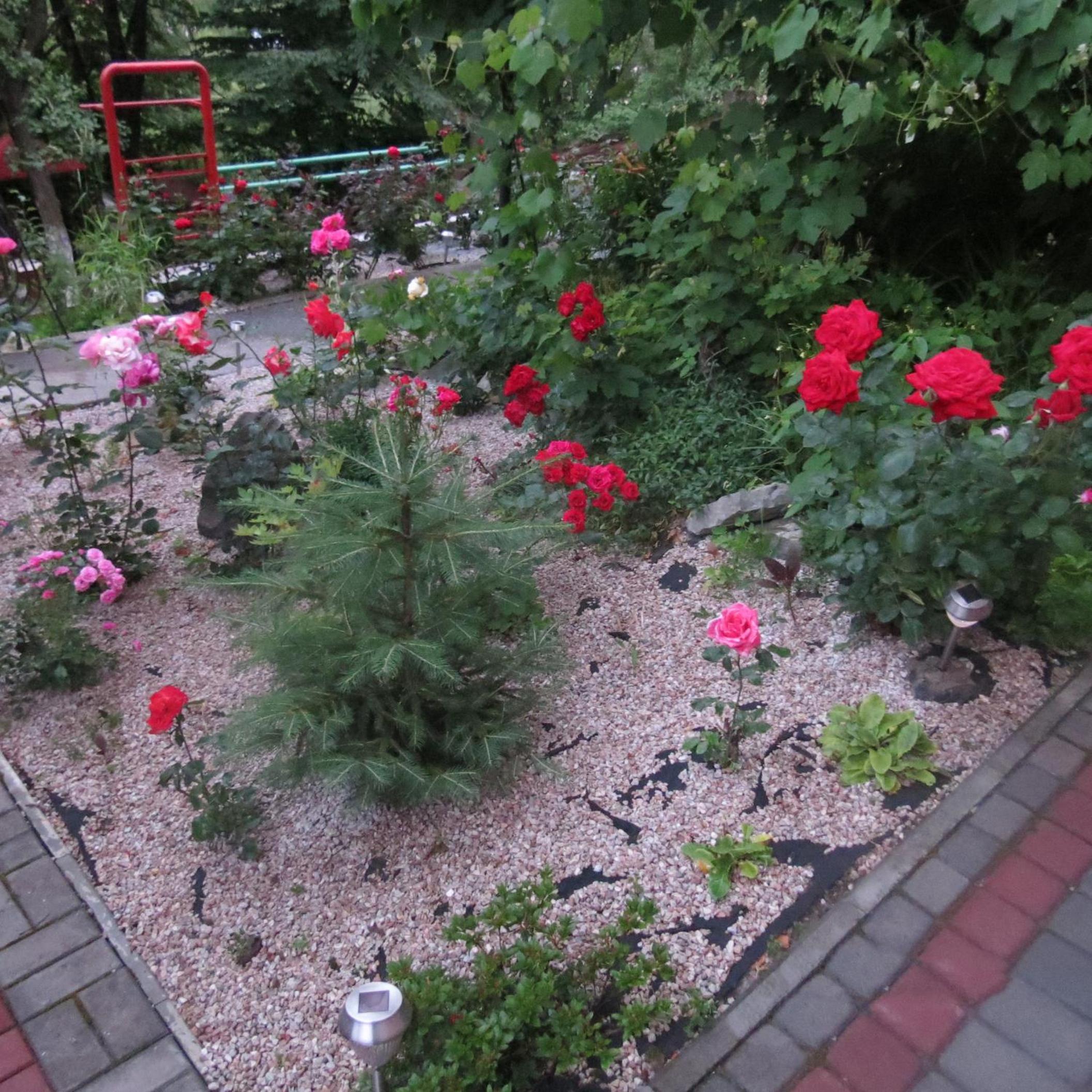 Photo 10