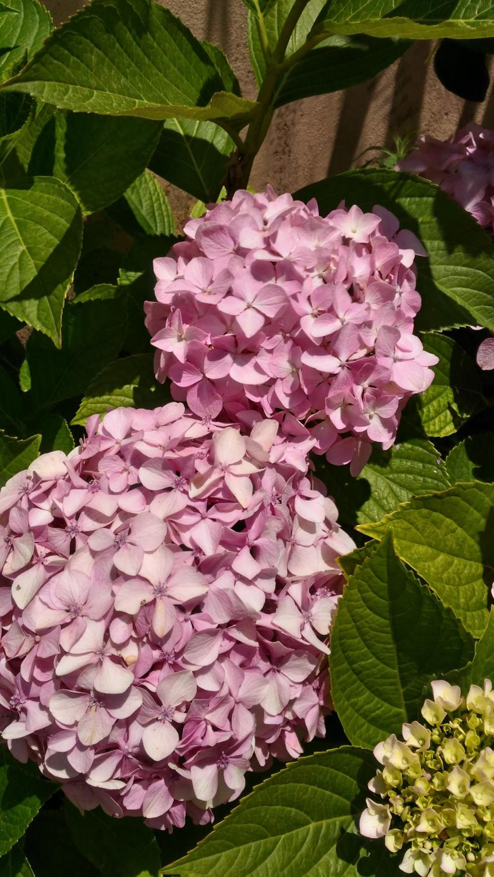 Photo 24