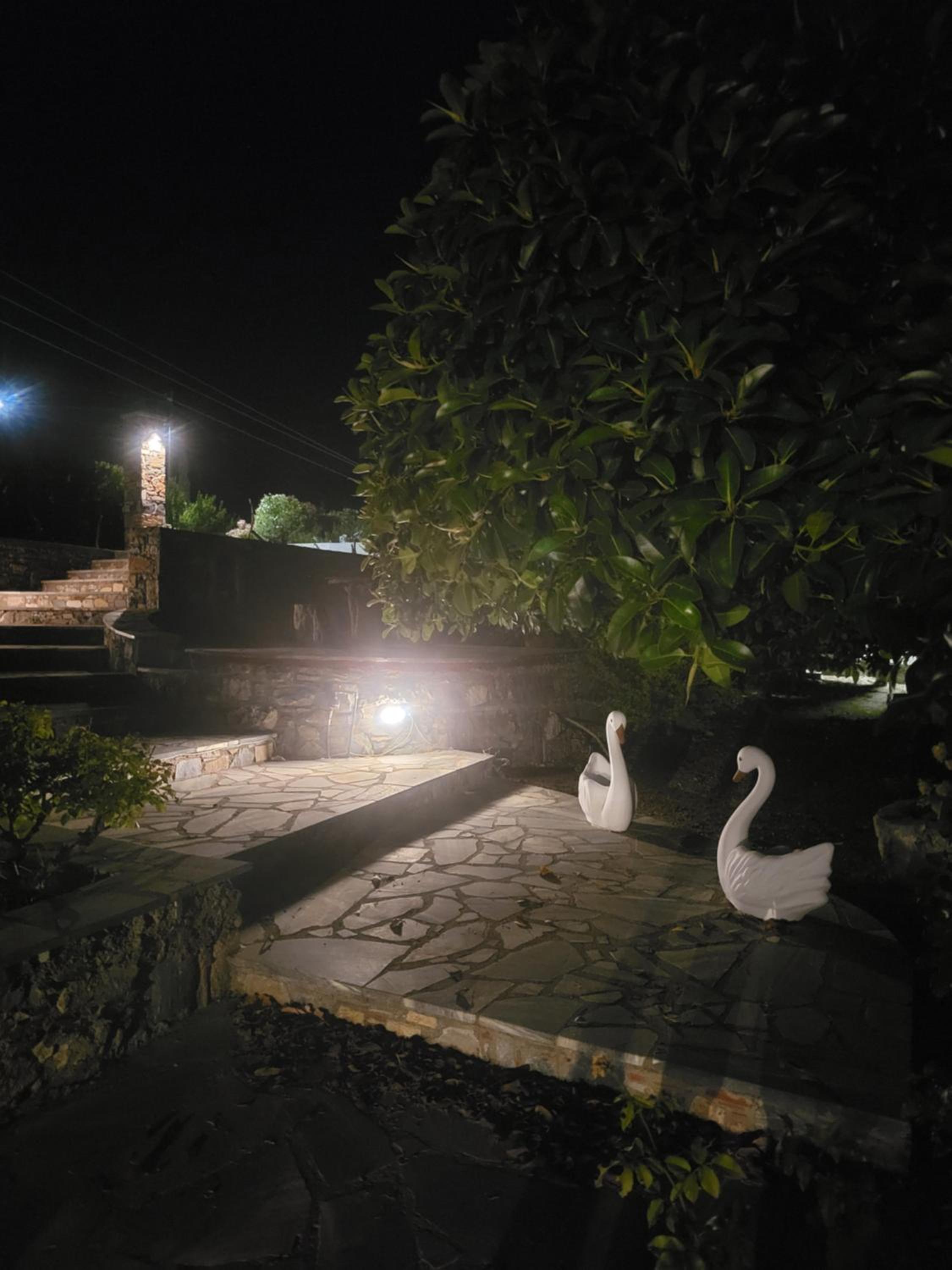 Alexia's resorts