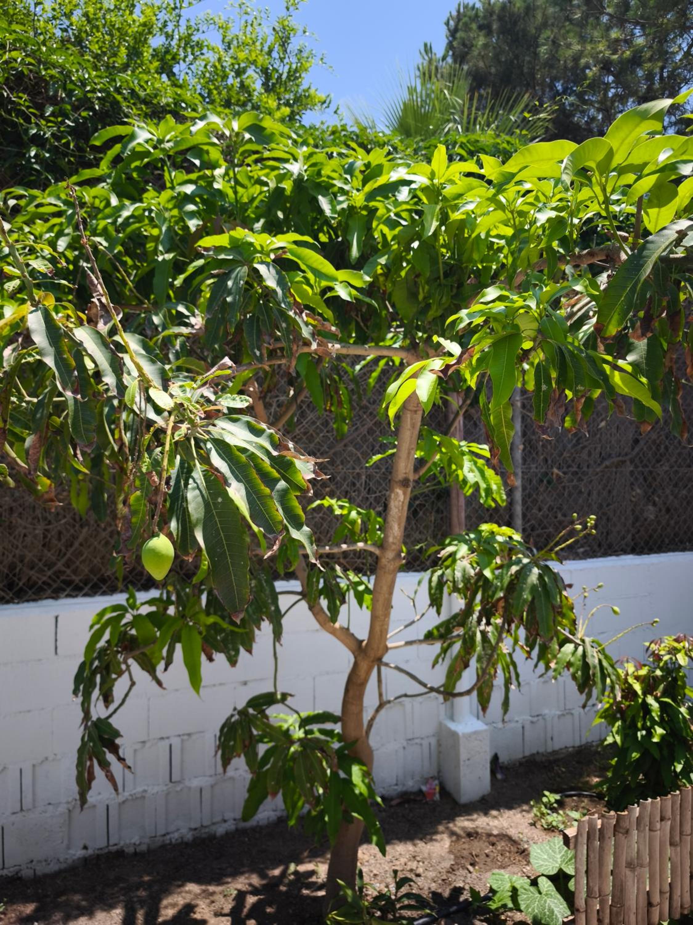 Valle Niza, N 340, 21, Villa Playa