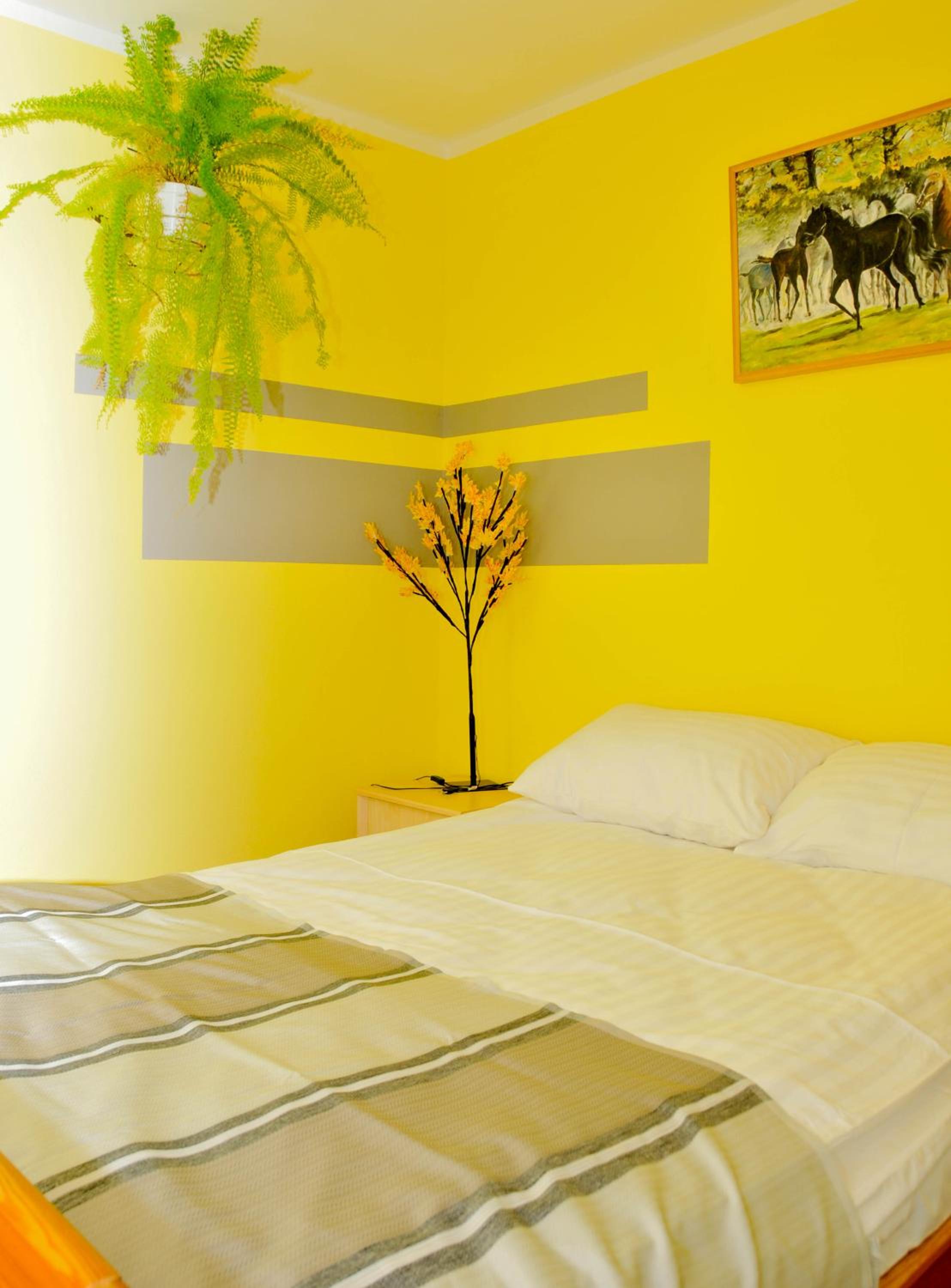 Apartament Pod Łanem view 5