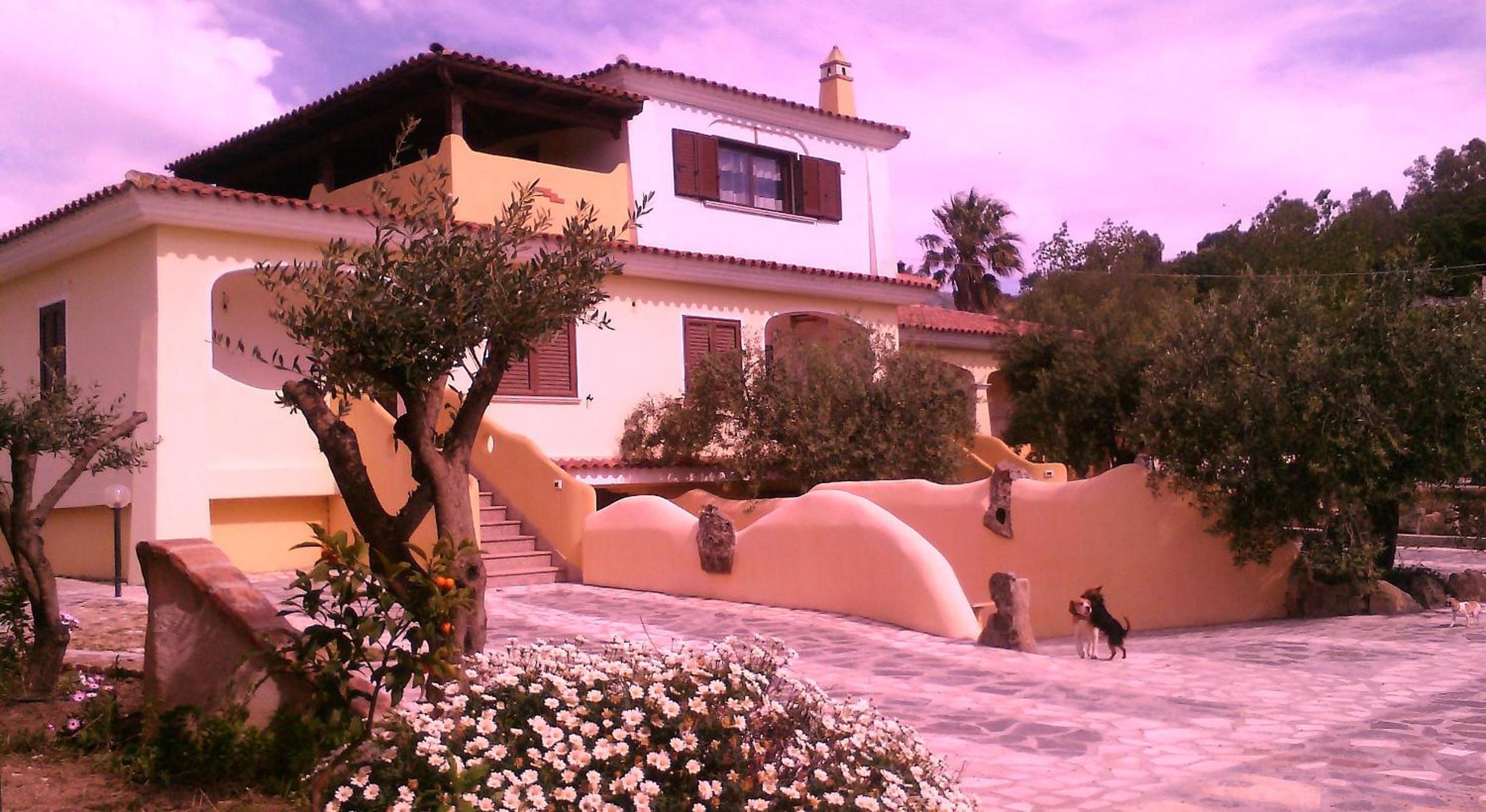 Photo 40