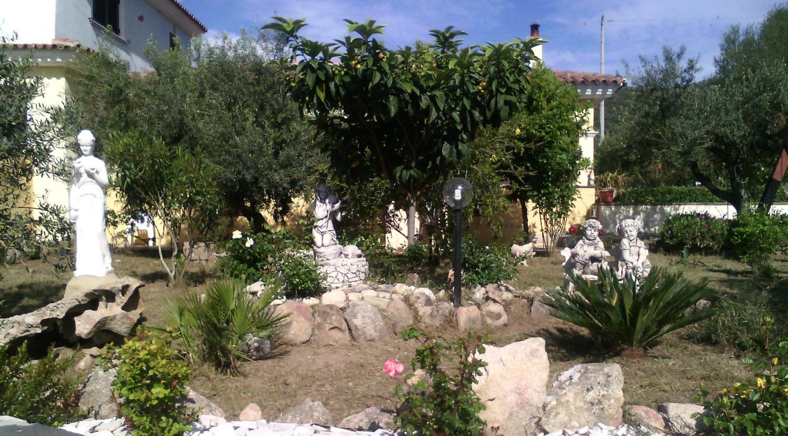 Photo 61