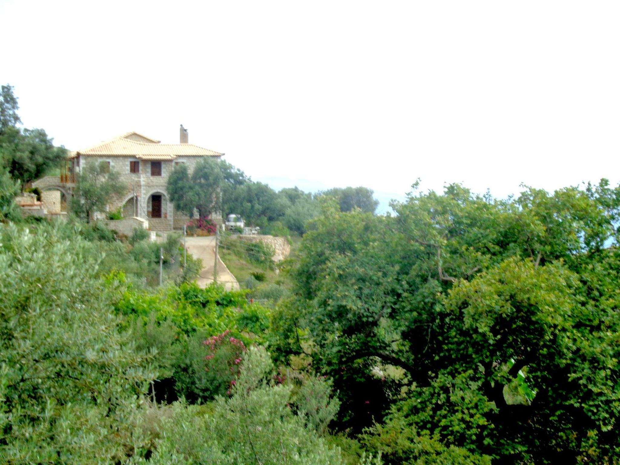 Photo 69