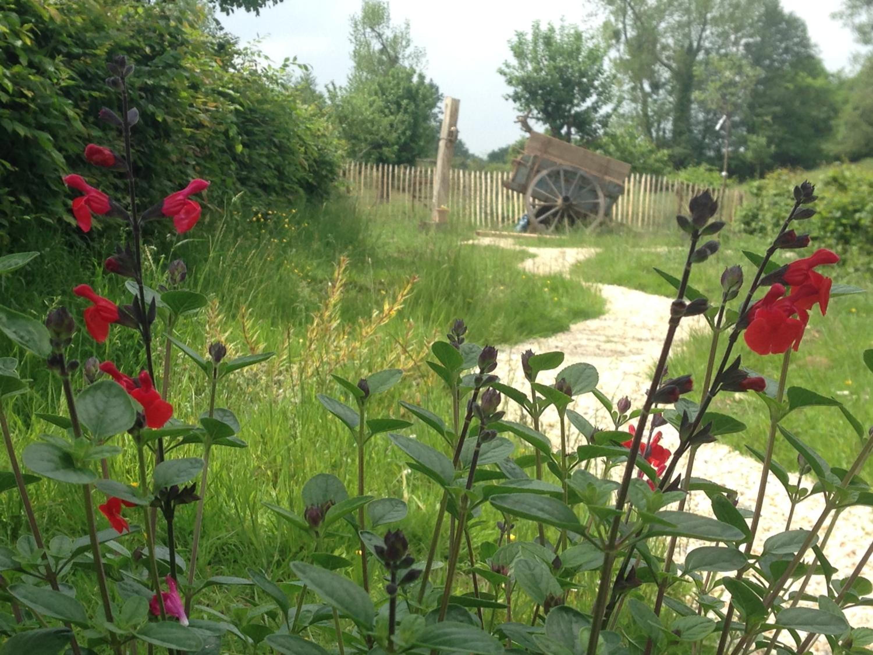 Photo 48