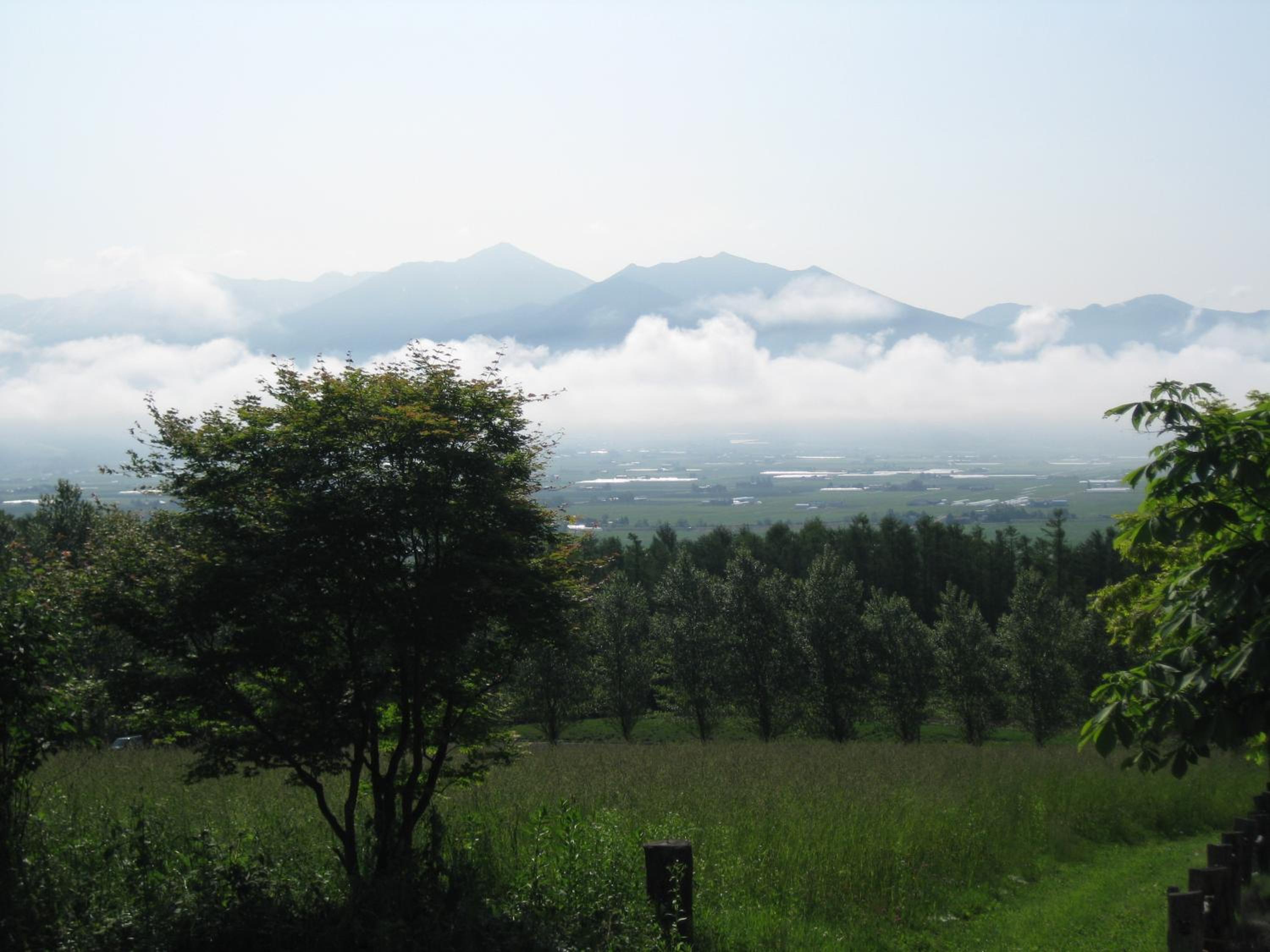 Photo 40