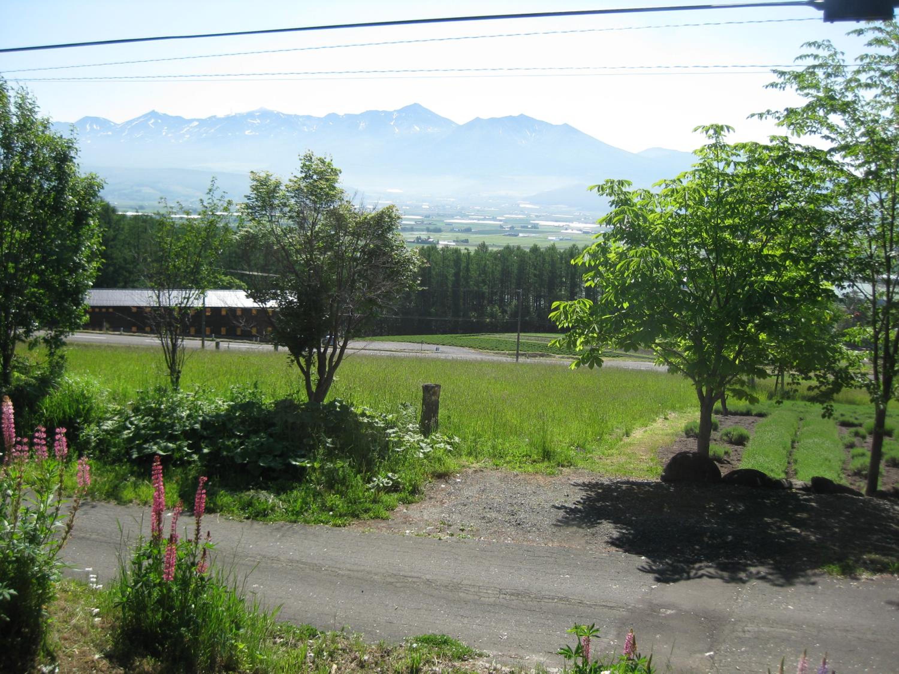 Photo 29