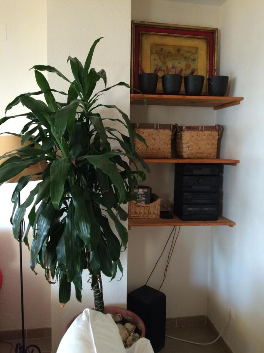 Photo 51