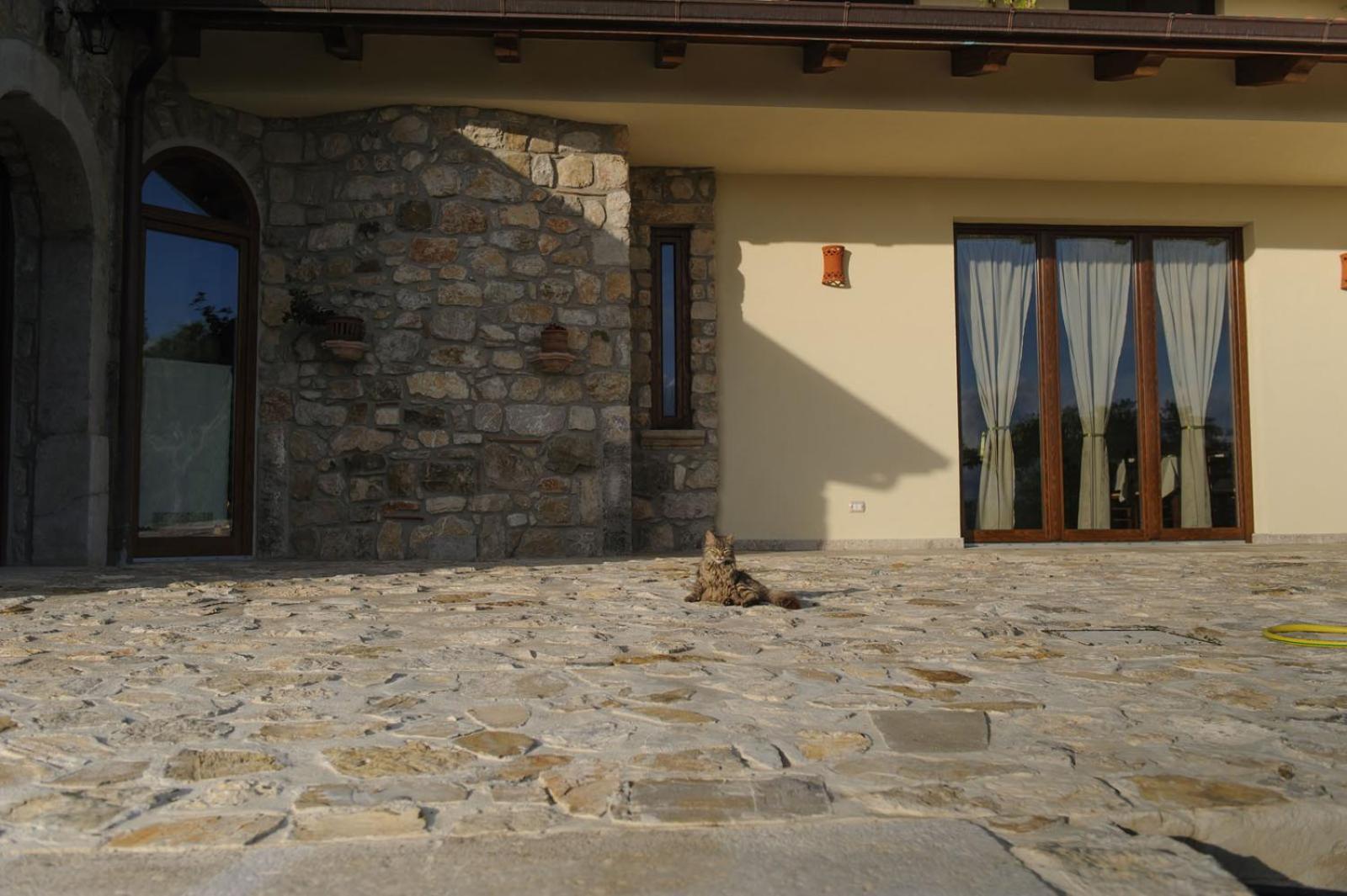 Photo 25