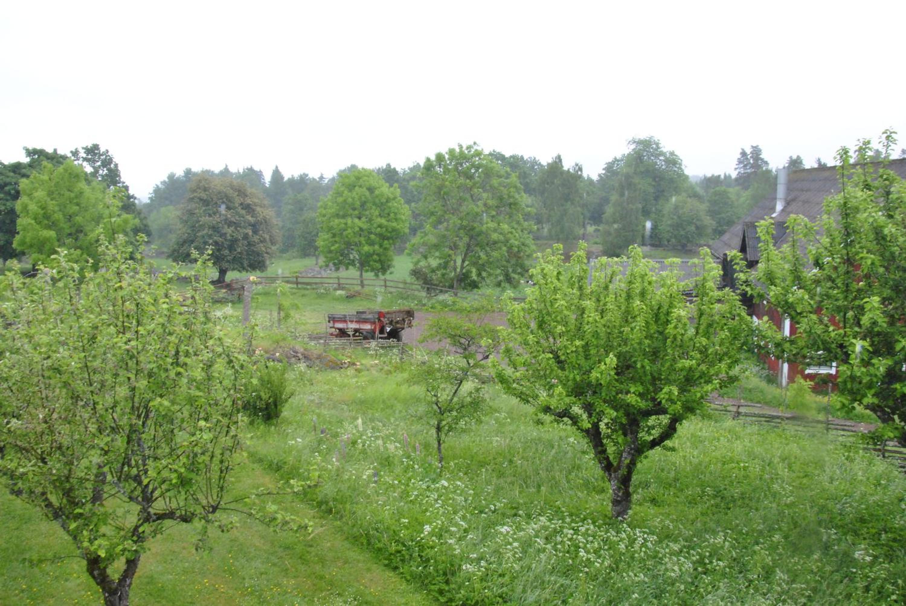 Photo 24