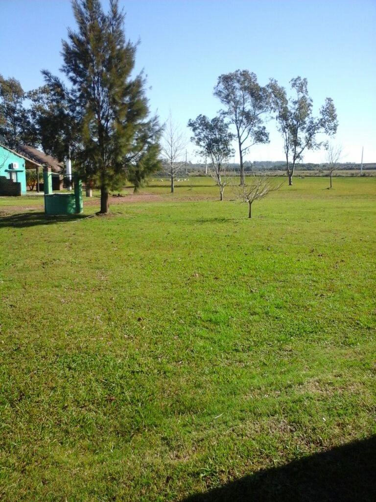 Photo 31