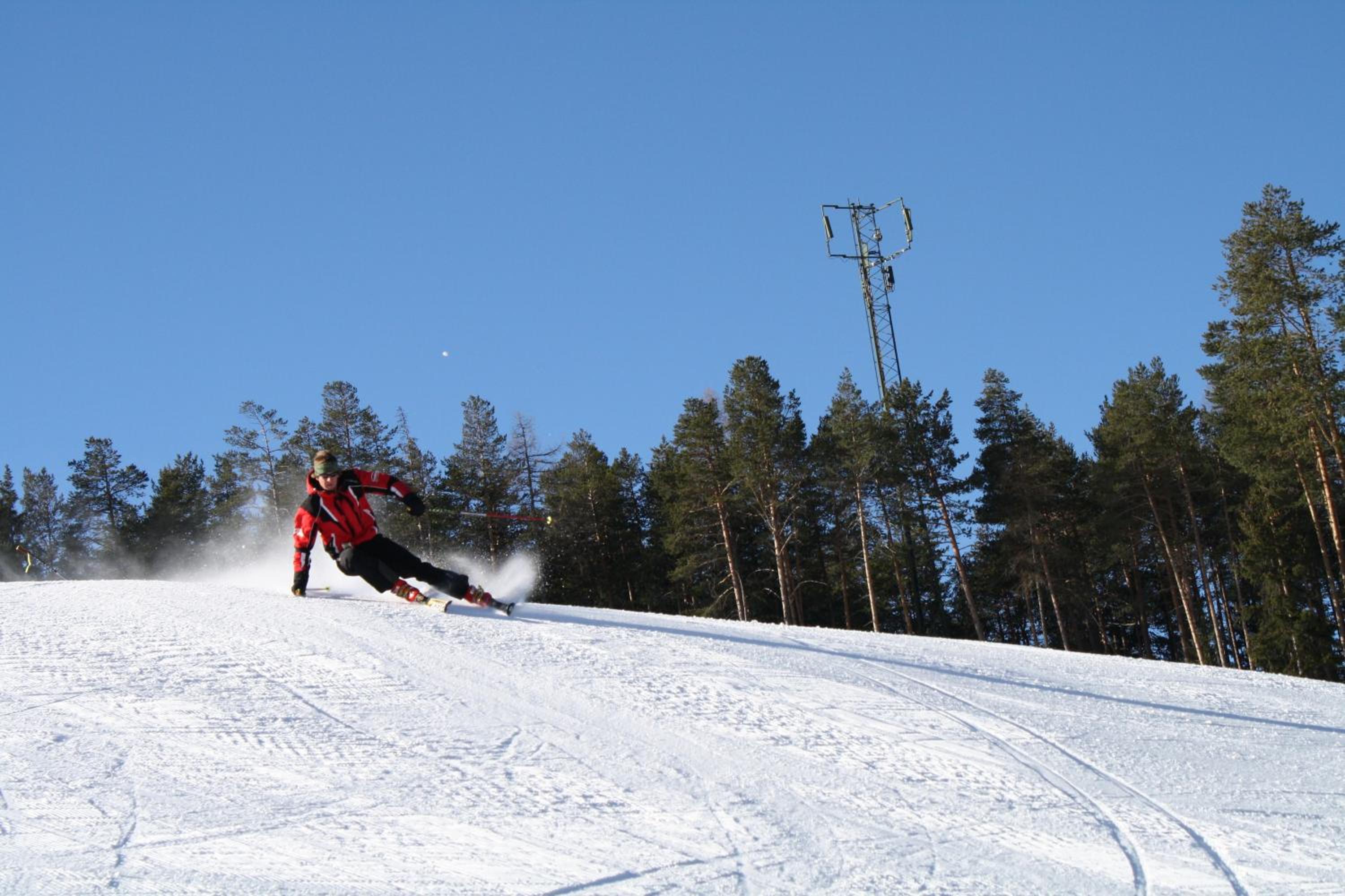 Photo 46