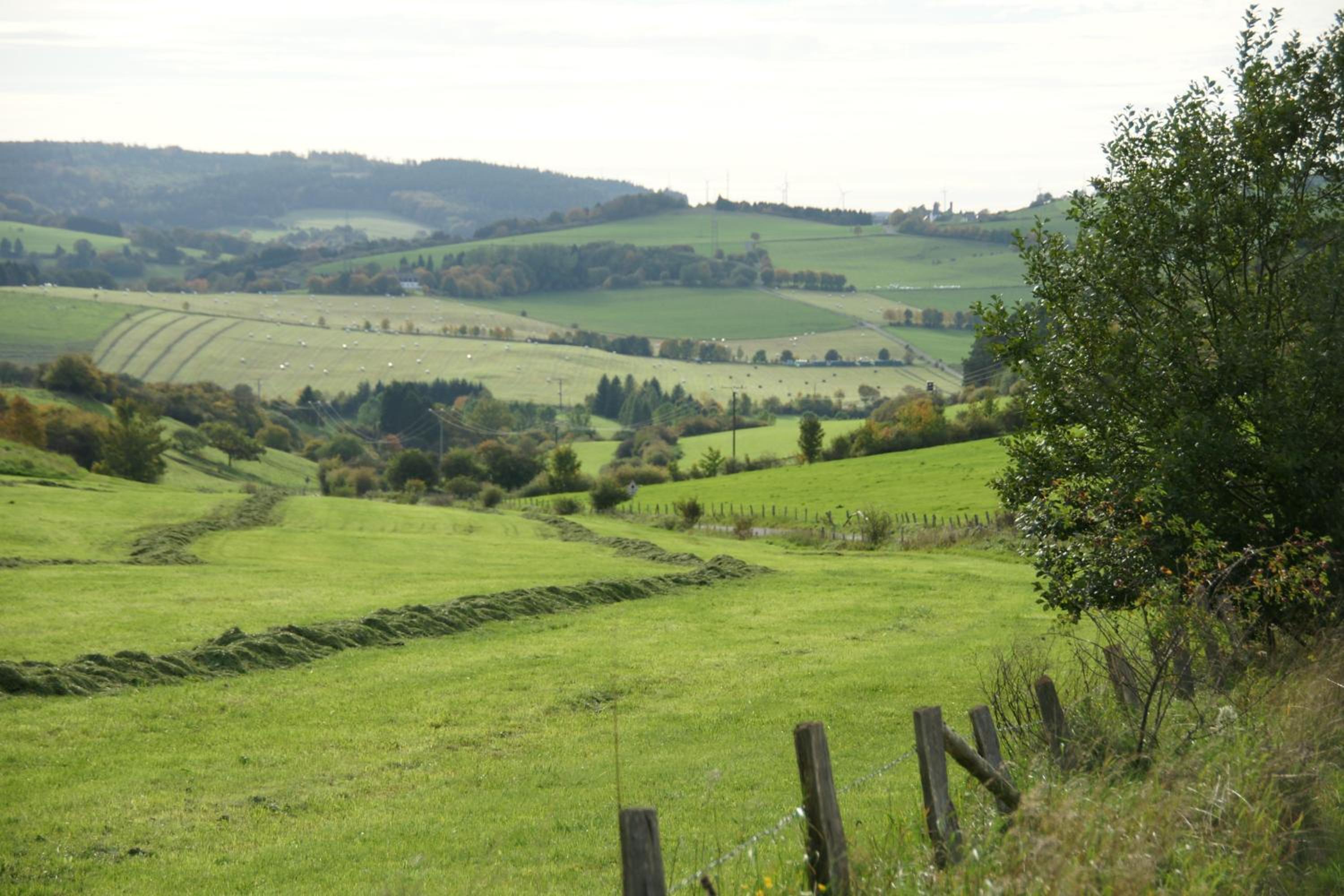 Landgasthof Em Lade
