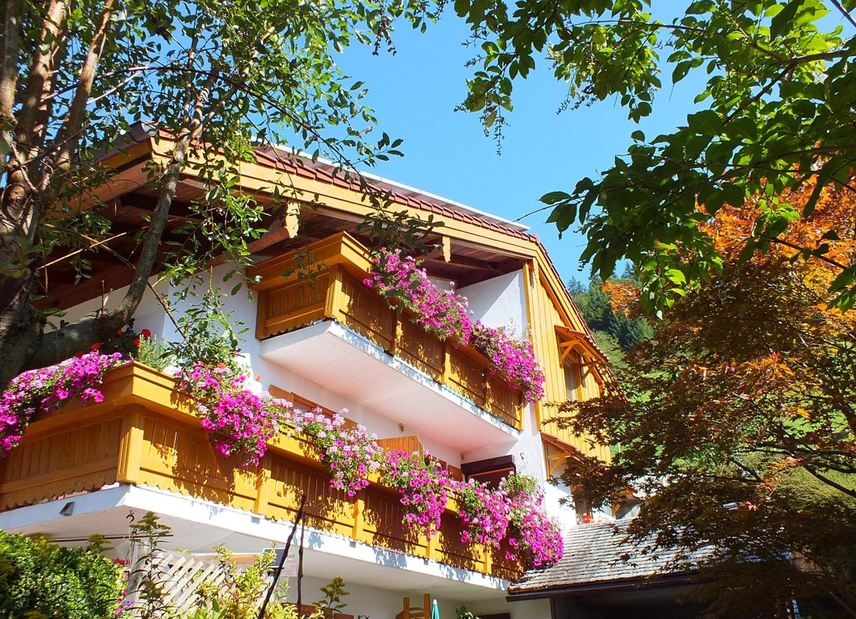 Gästehaus Amort view 5
