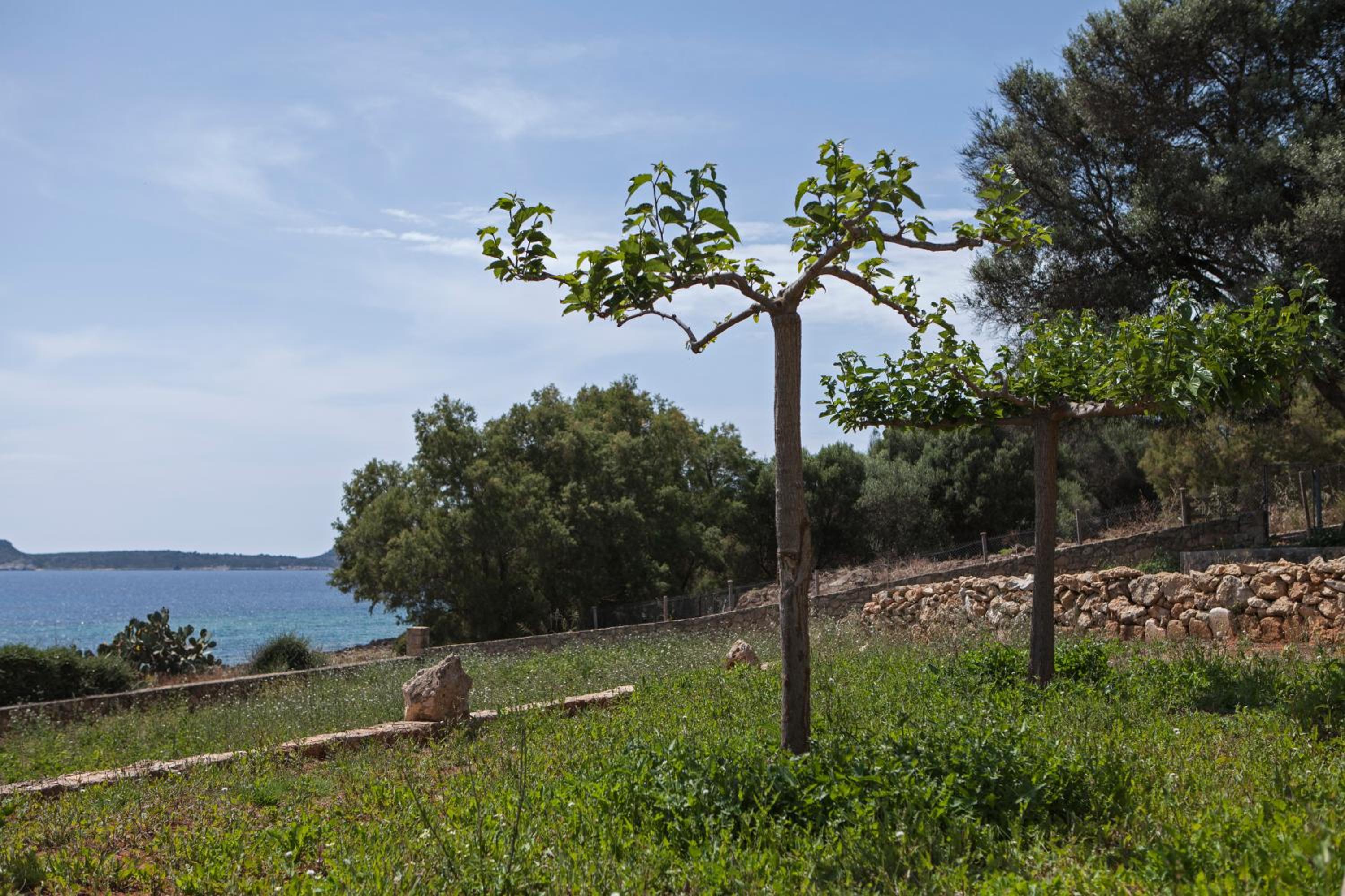 Dialiskari Villas