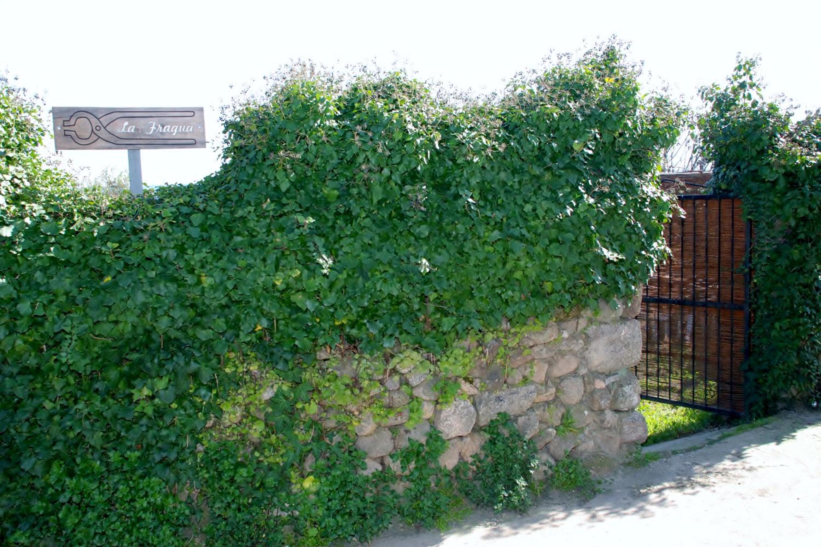 Photo 32