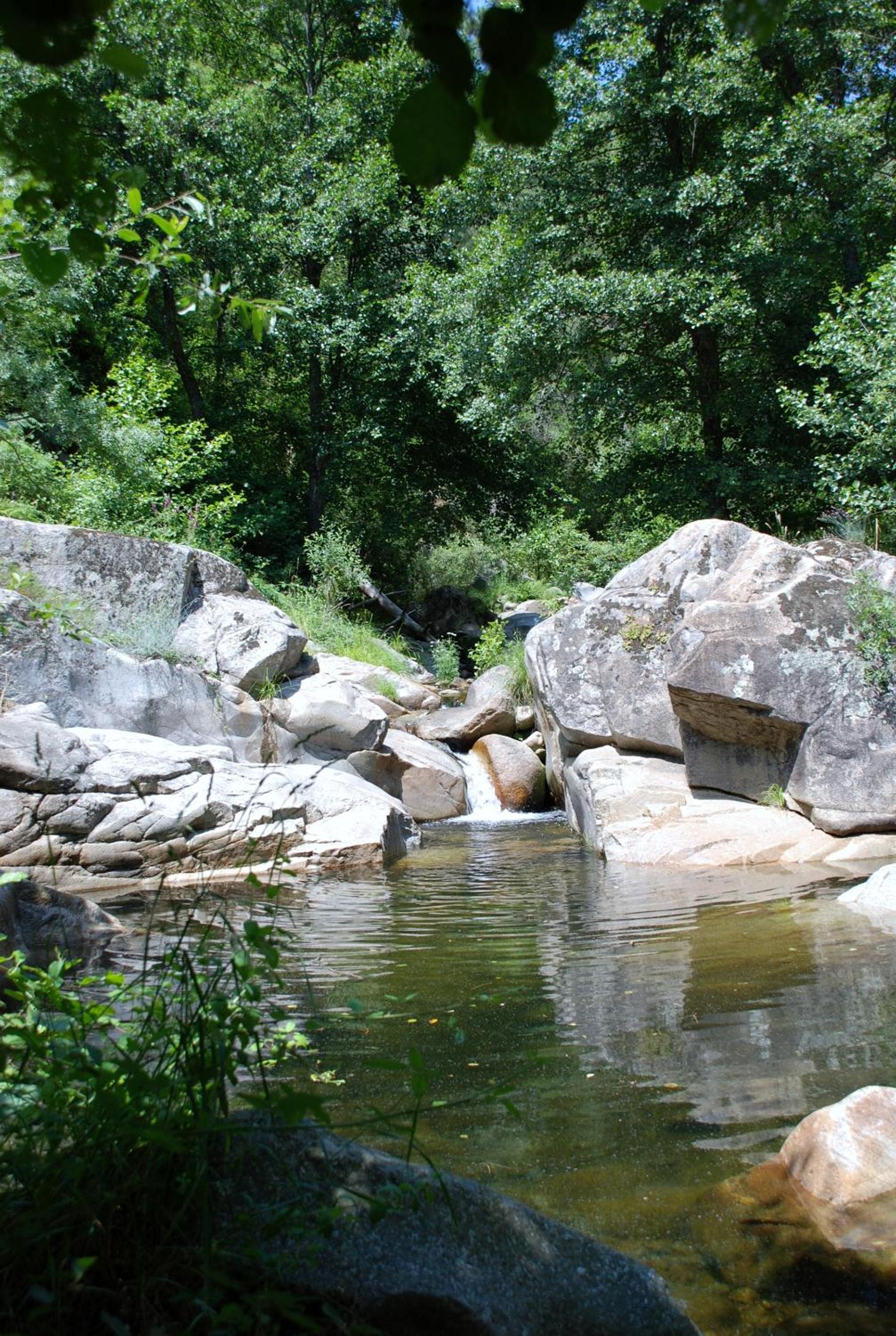 Photo 36