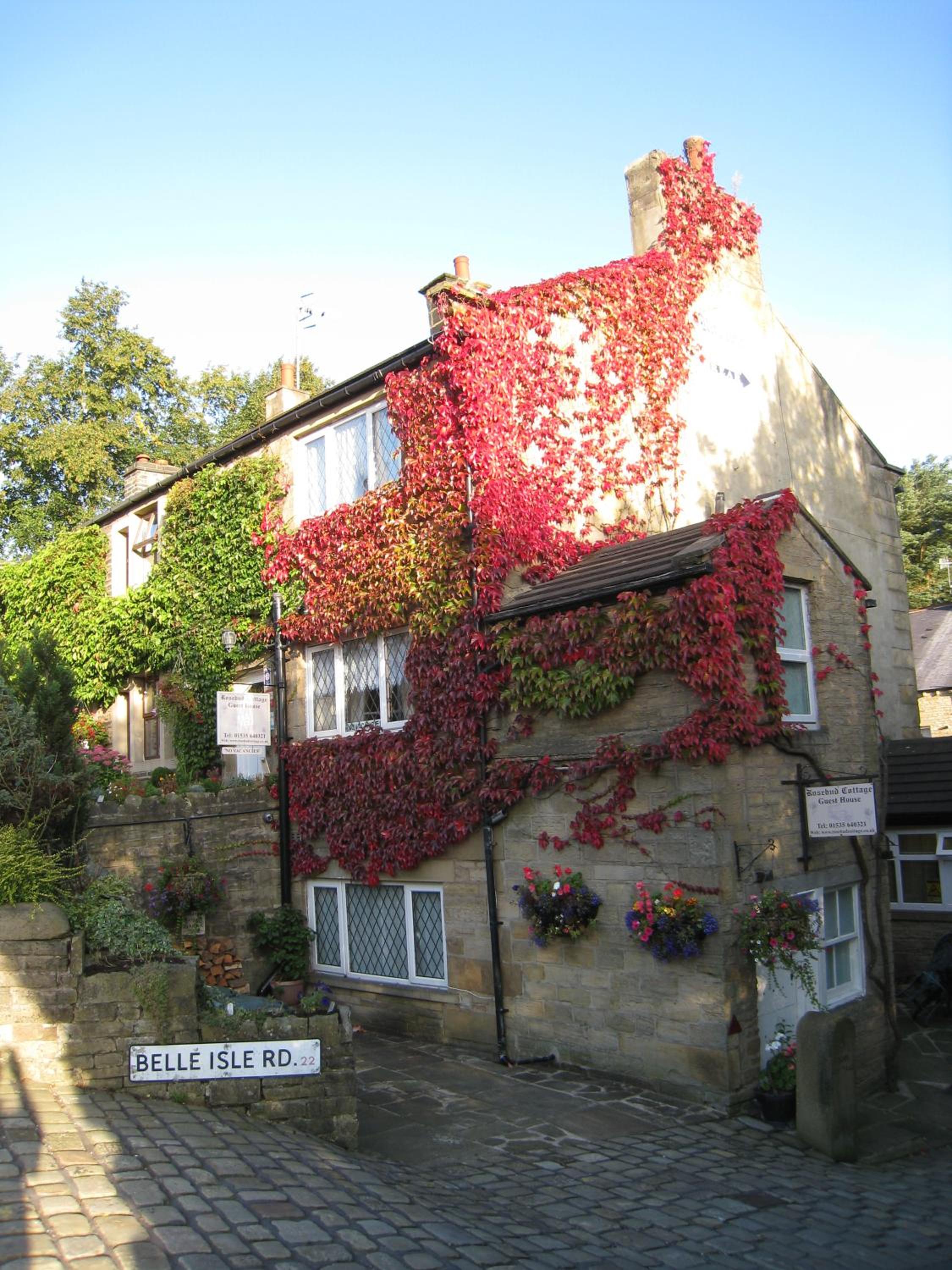 Rosebud Cottage Guest House