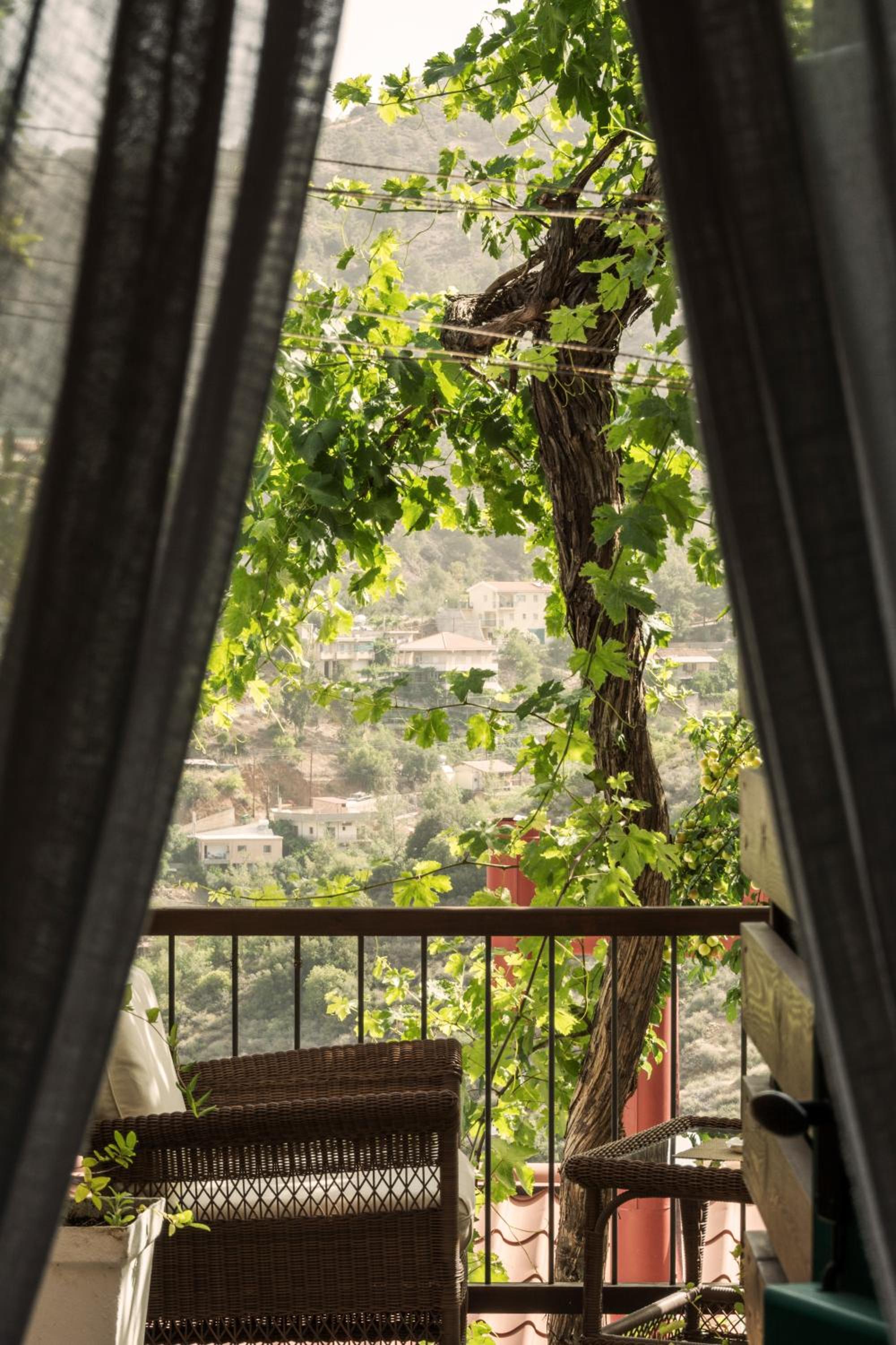 Anastou's Traditional House