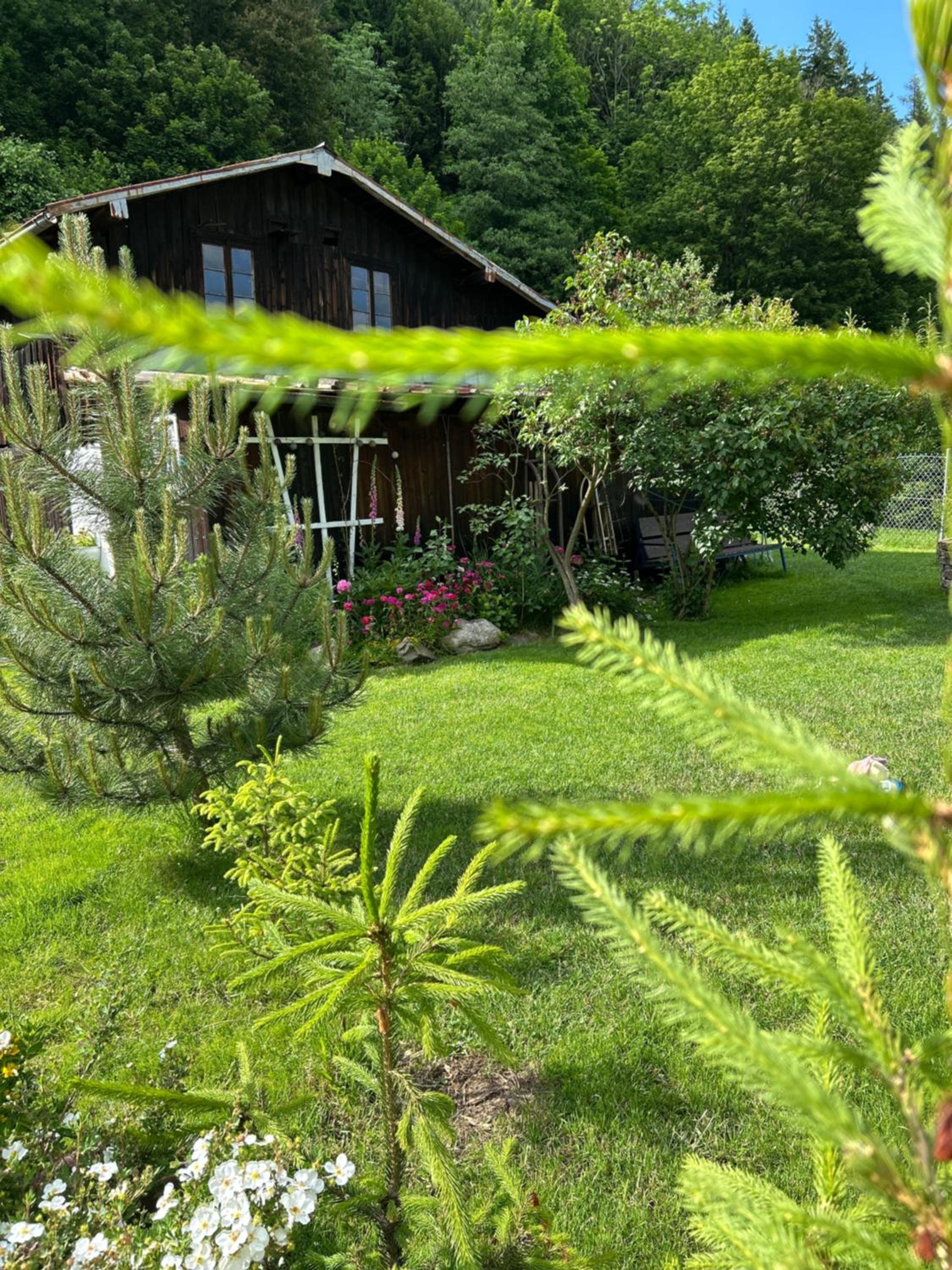 Photo 45
