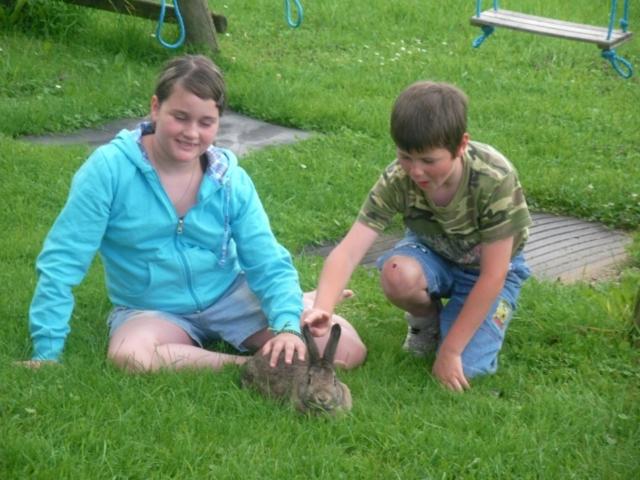 Photo 25
