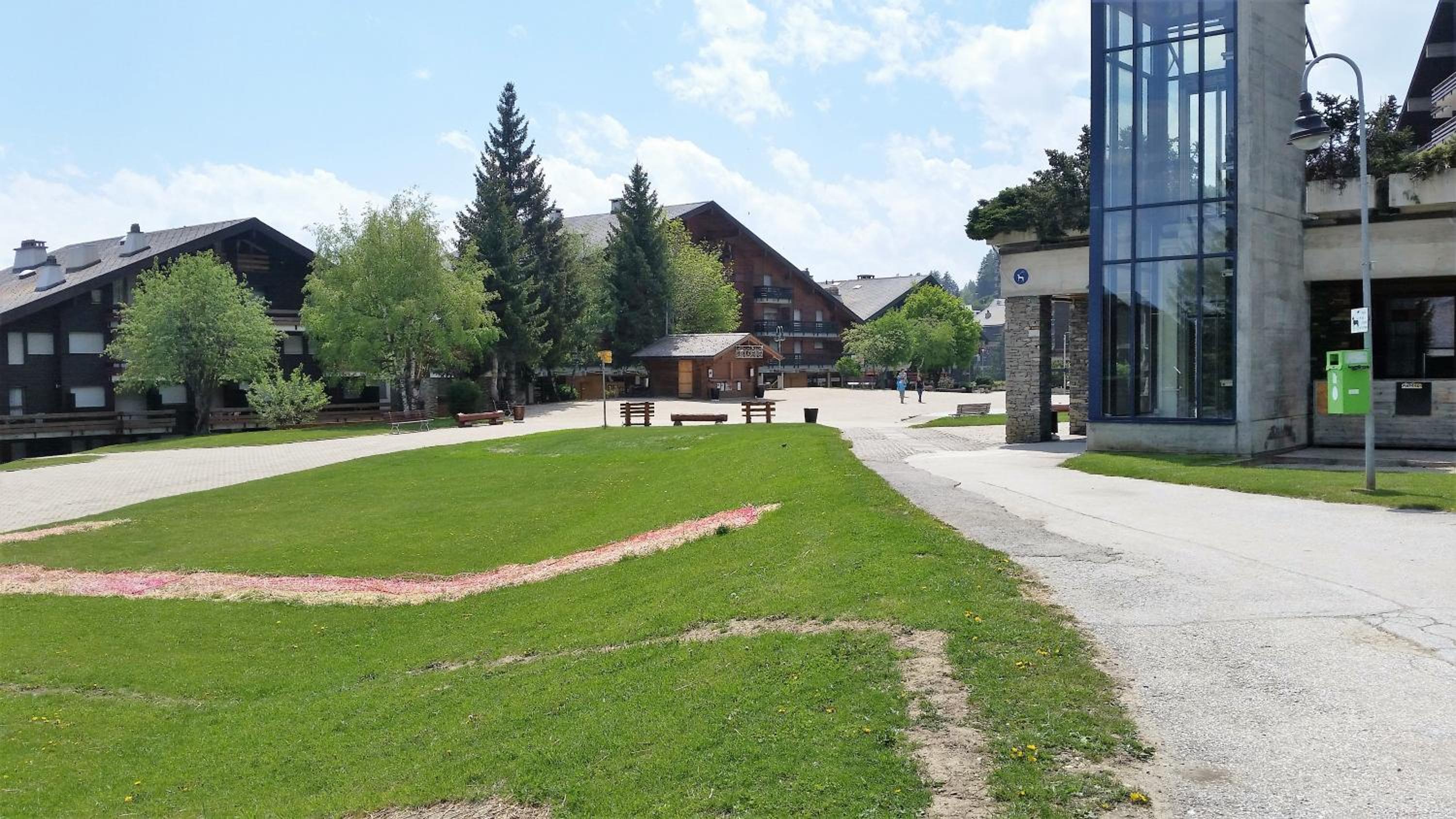 Photo 44