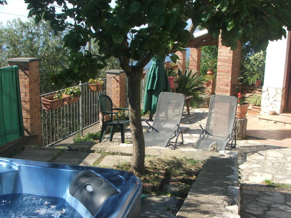 Photo 12