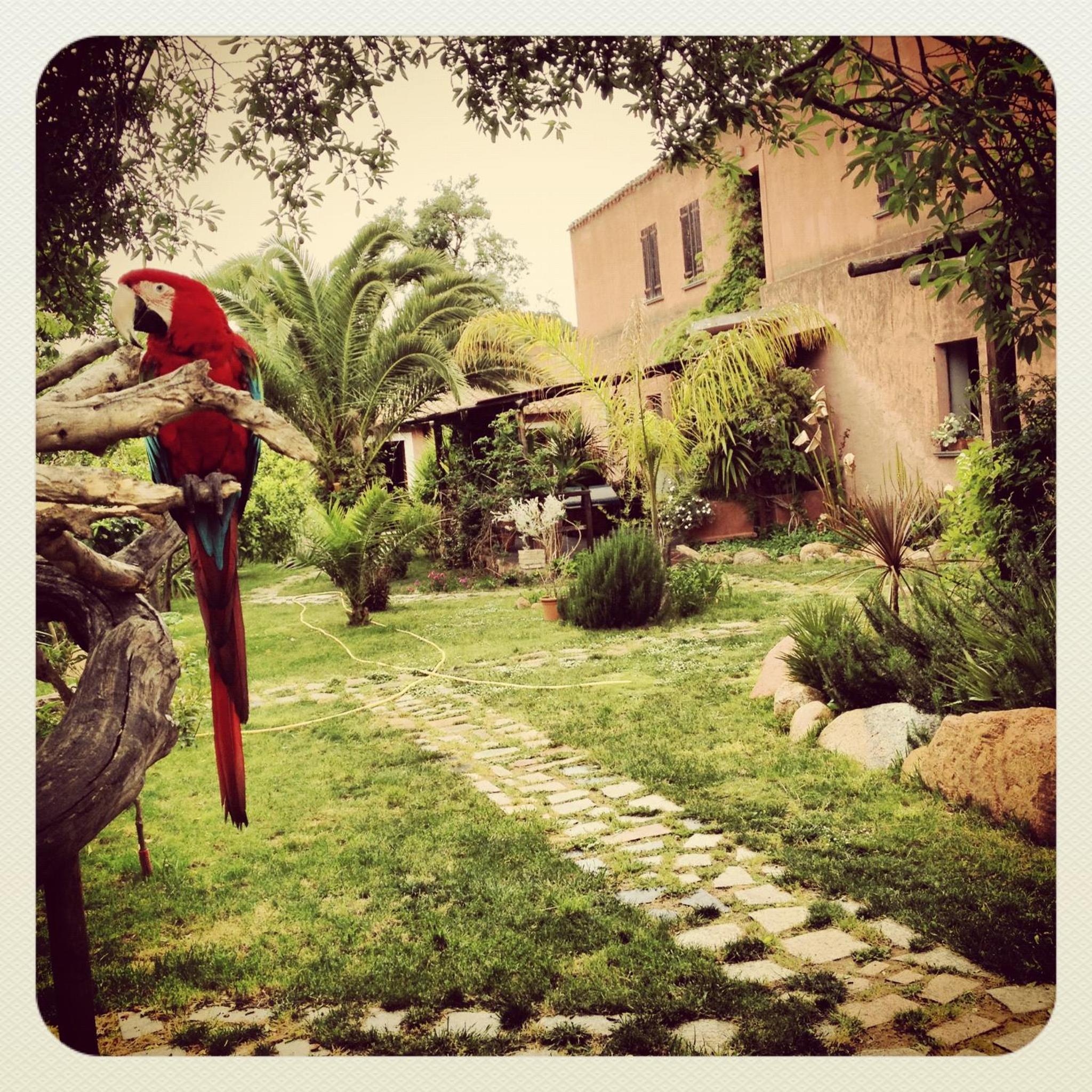 Photo 22