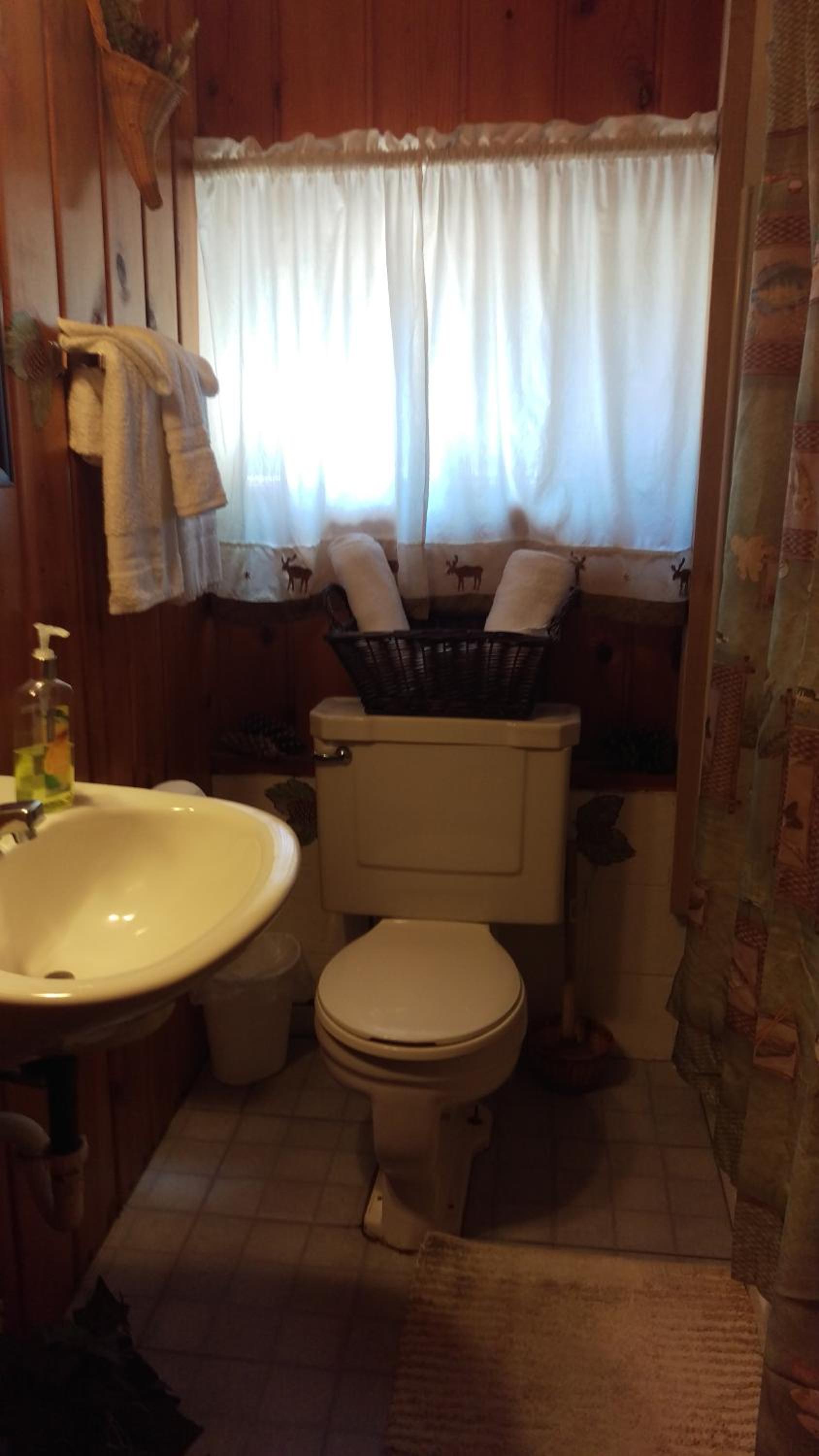 Photo 51