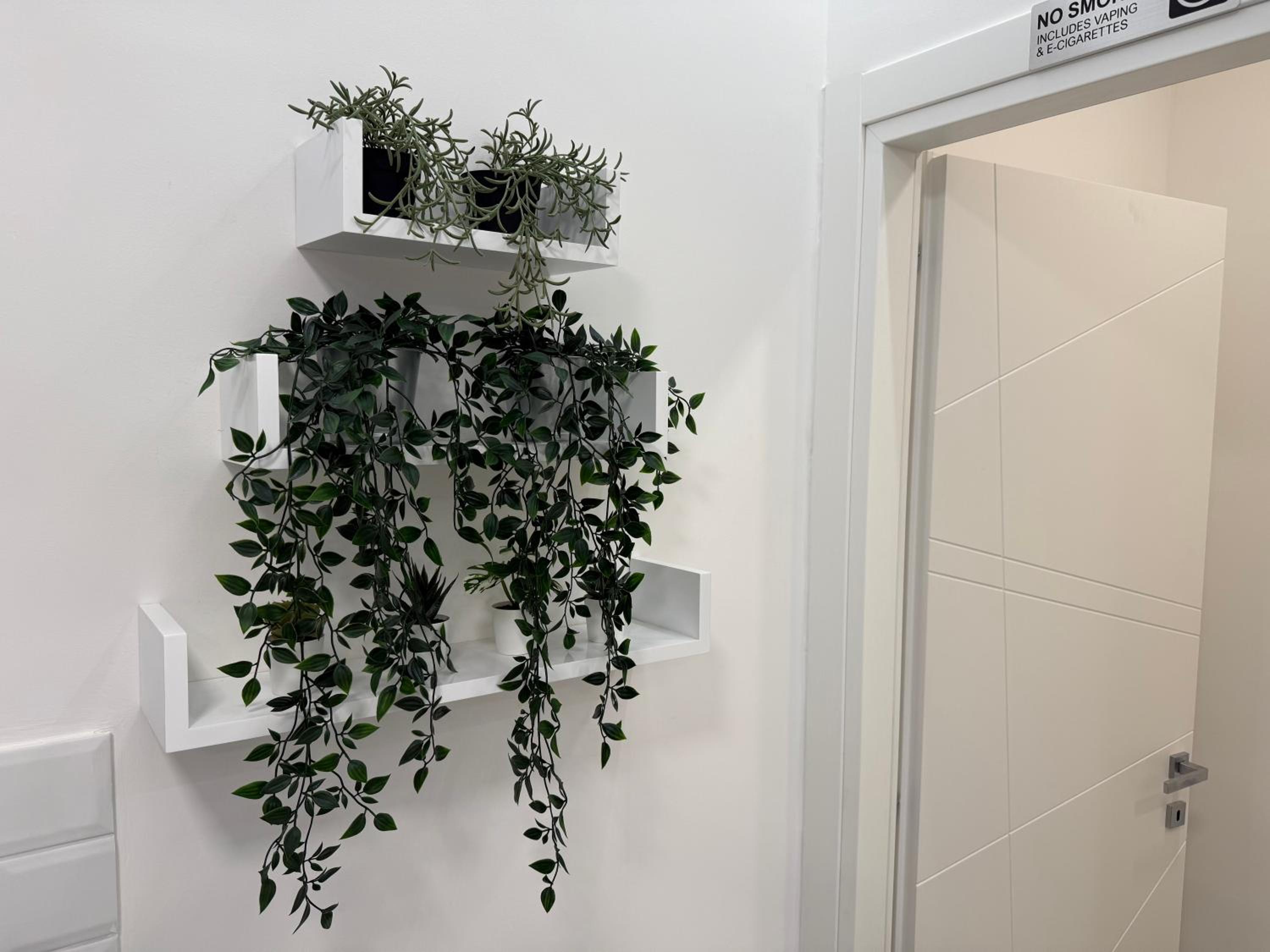 Nest Love collazia Roma 1500 mt dal Colosseo