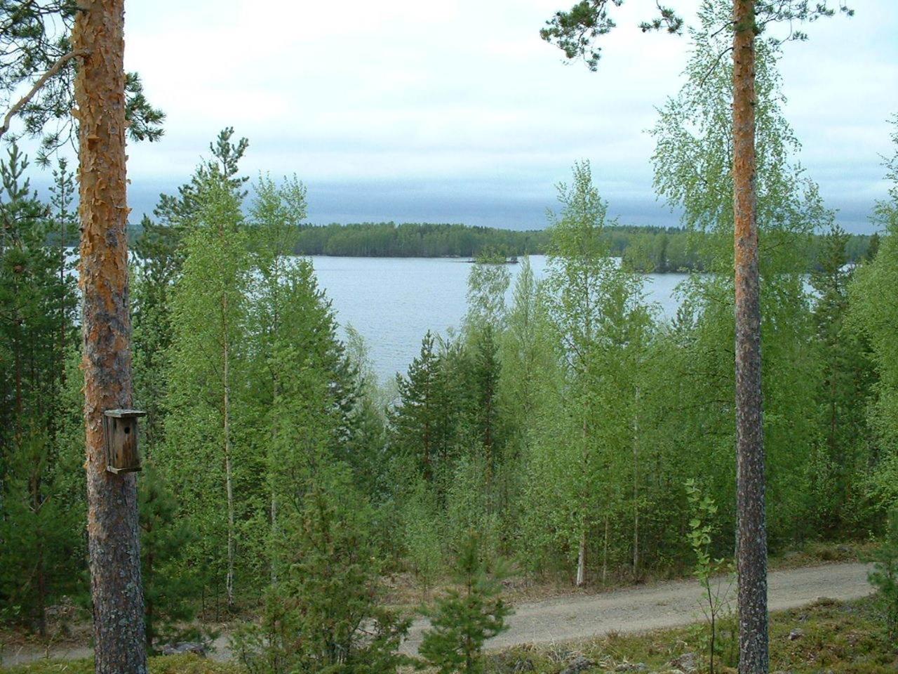 Photo 22