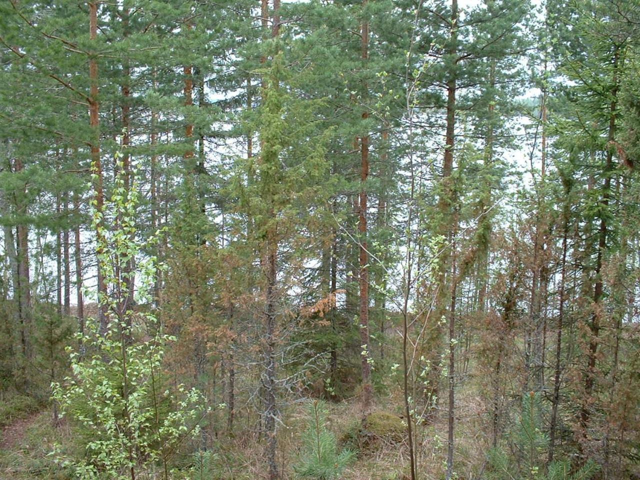 Photo 30