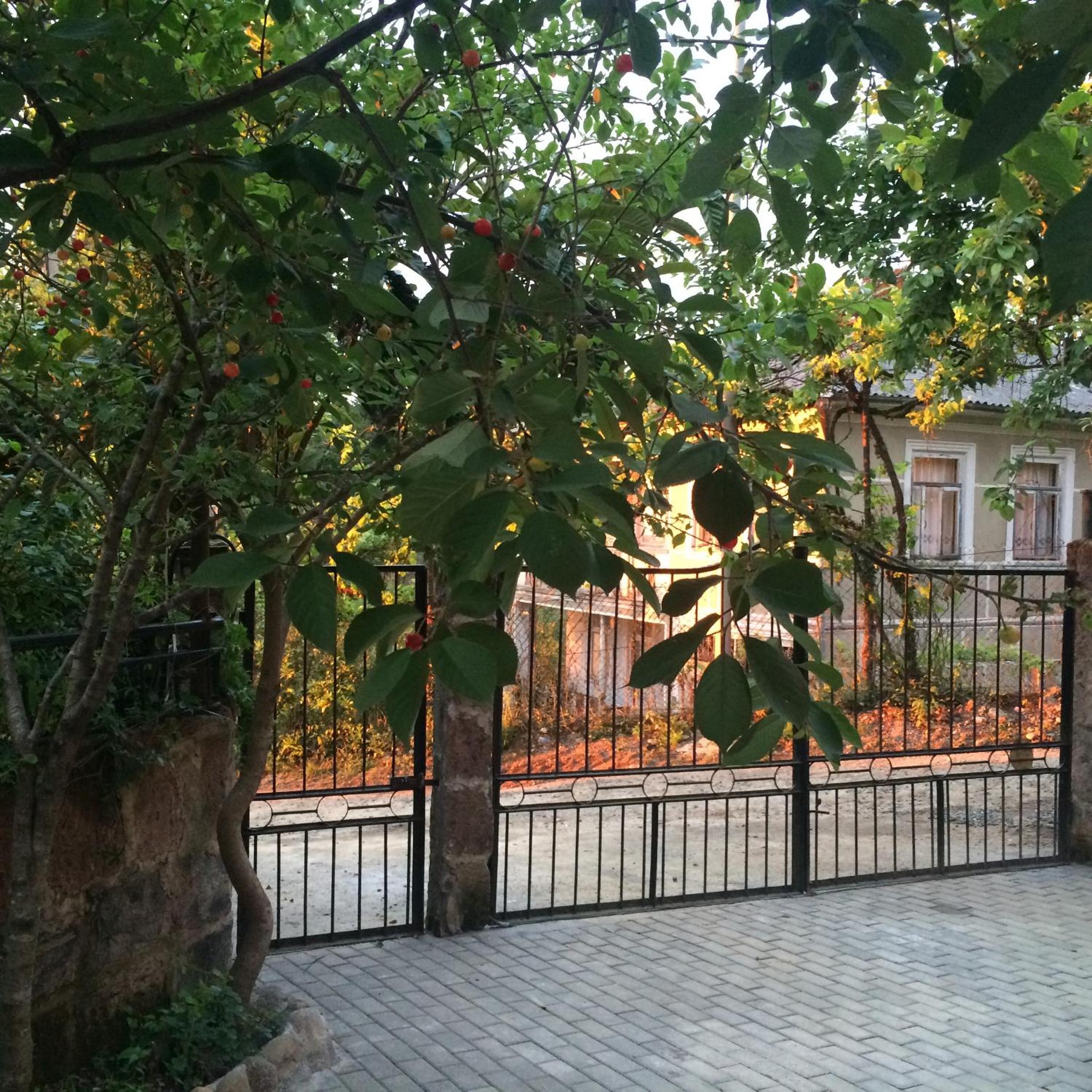 Photo 32