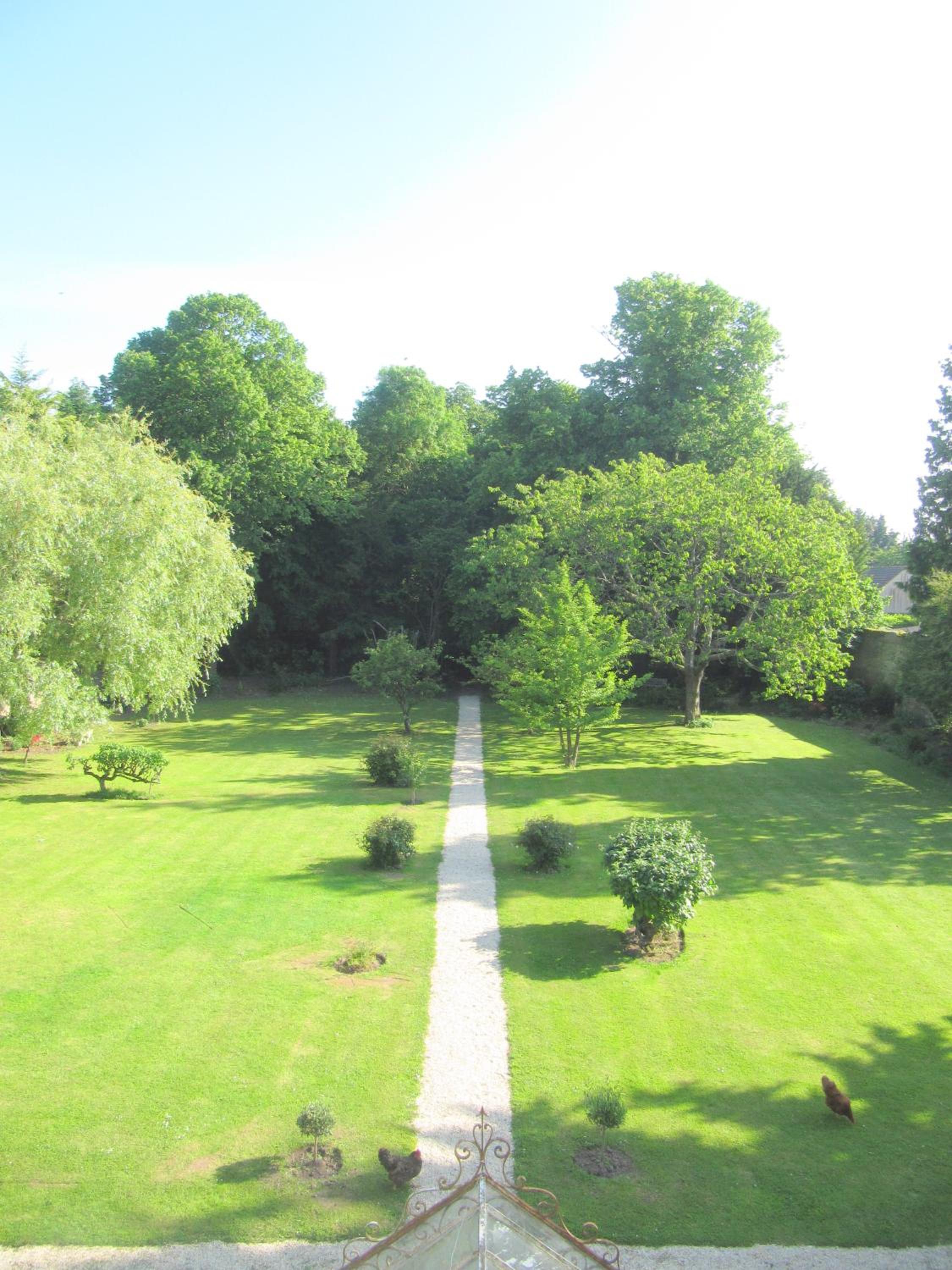 Photo 44