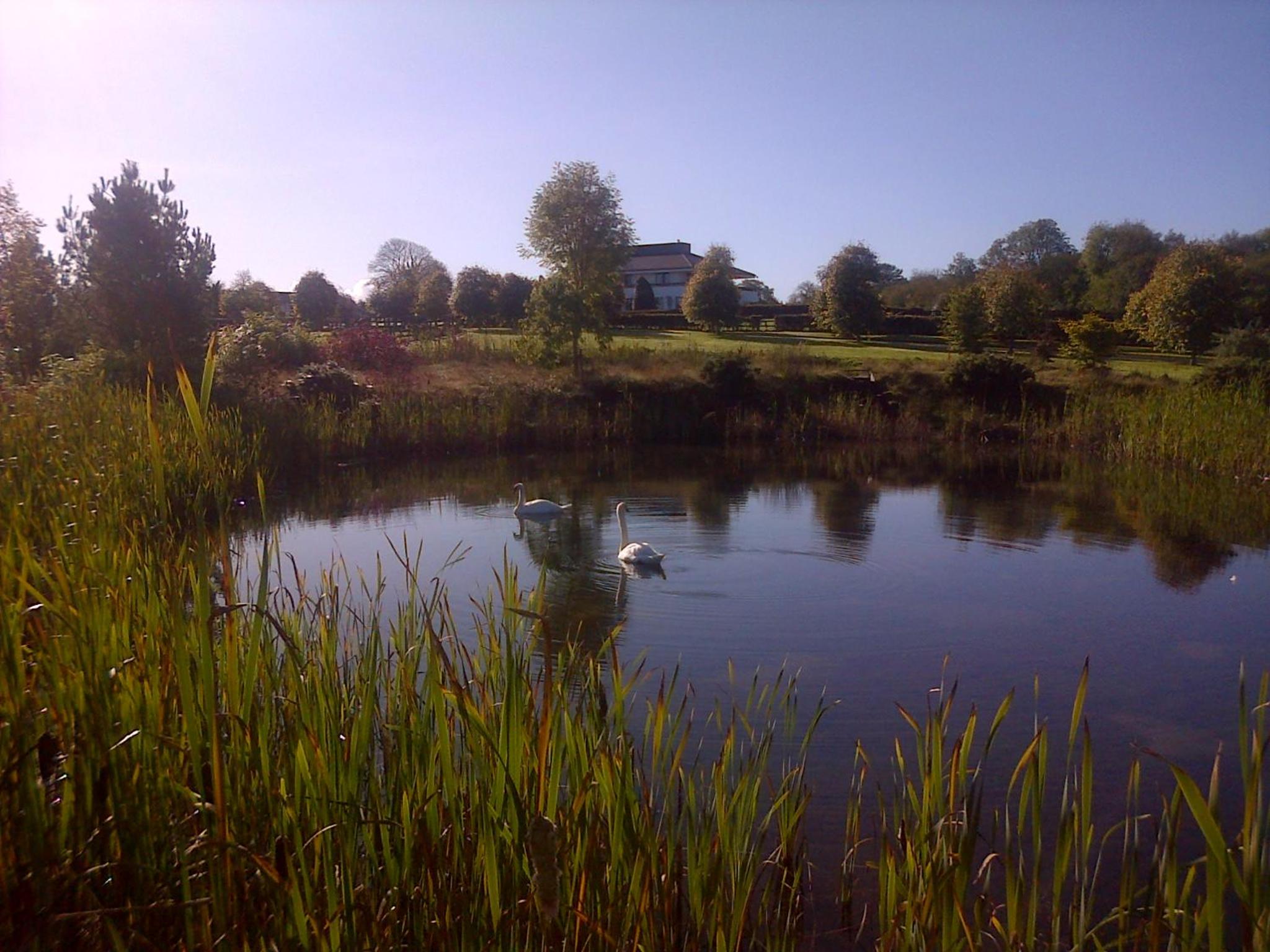 Photo 12