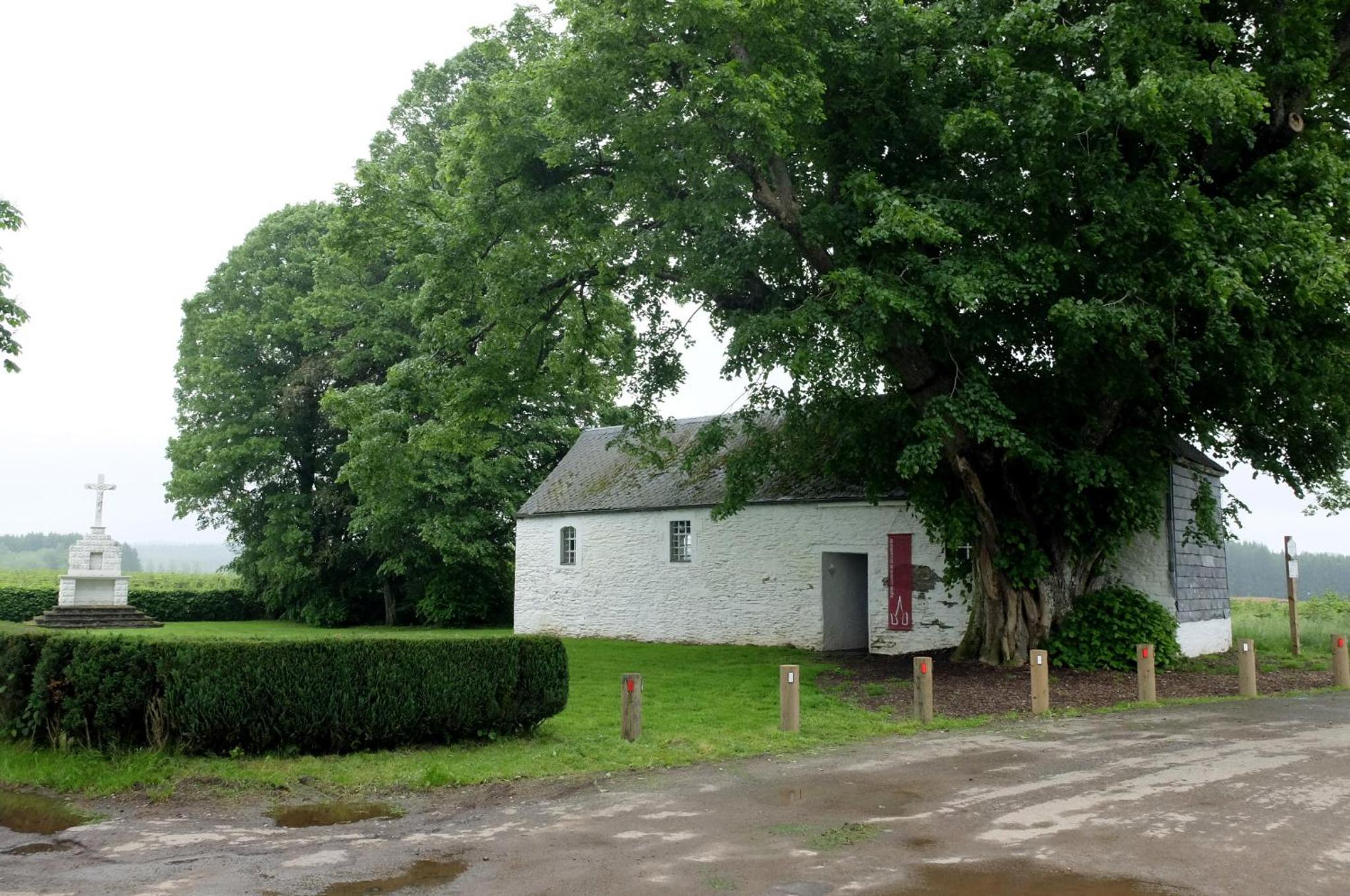 Maison d hôtes "Aux Légendes d Ardenne"