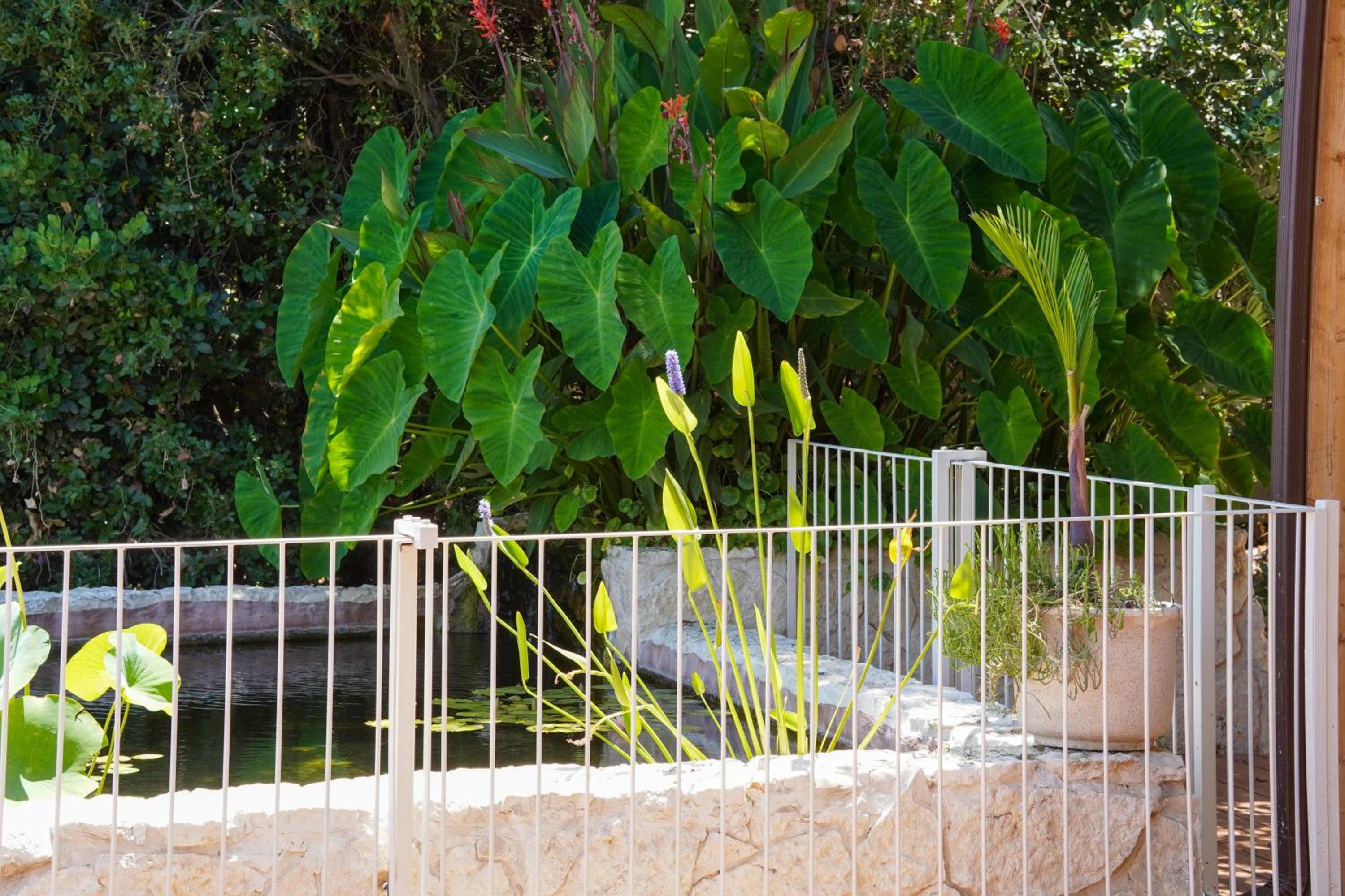 הצימר בצבעון-200 מ
