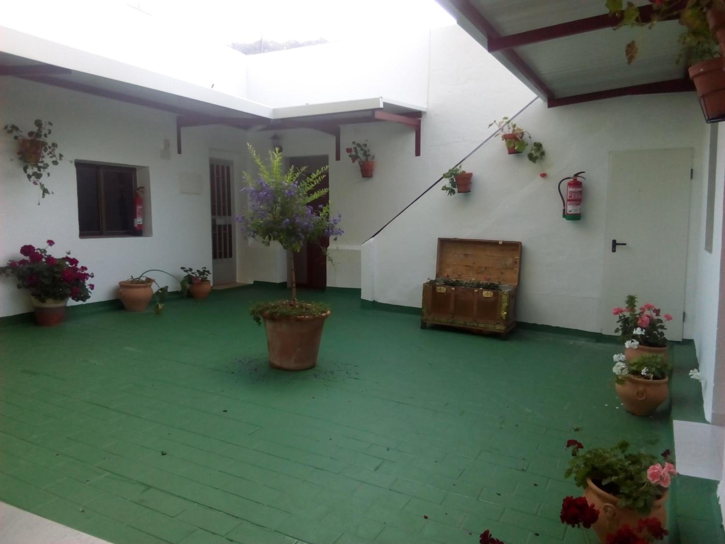 Photo 46