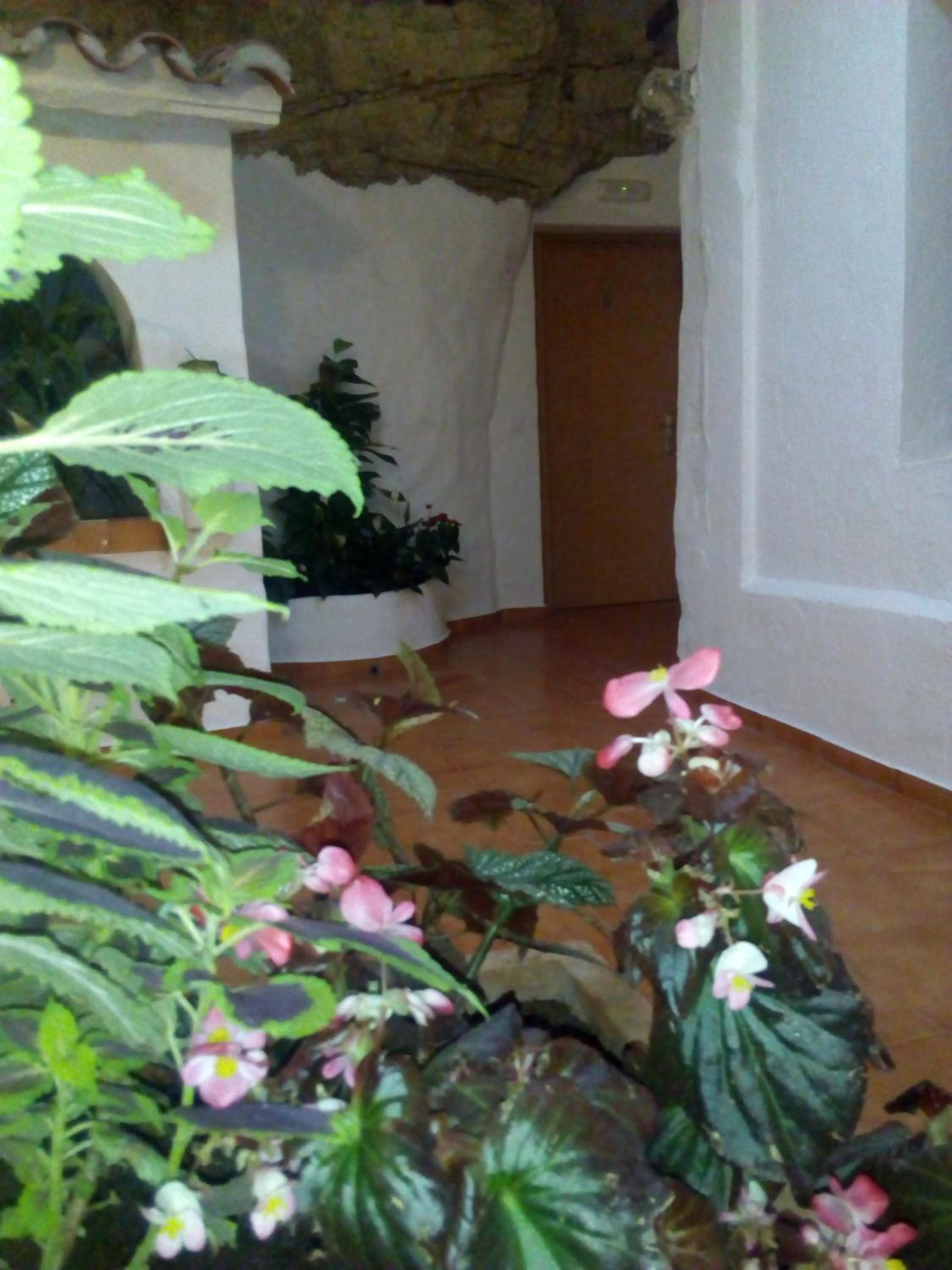 Photo 49