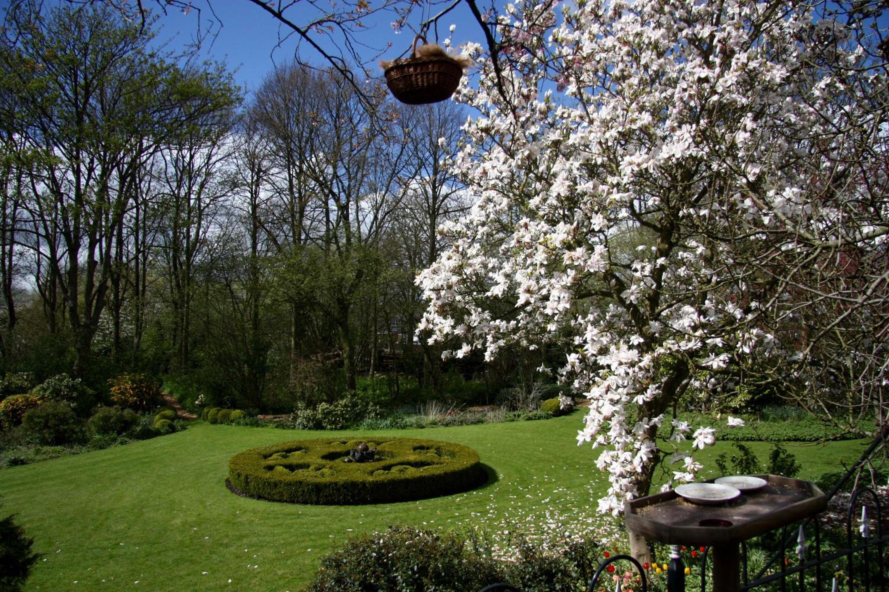 Photo 43