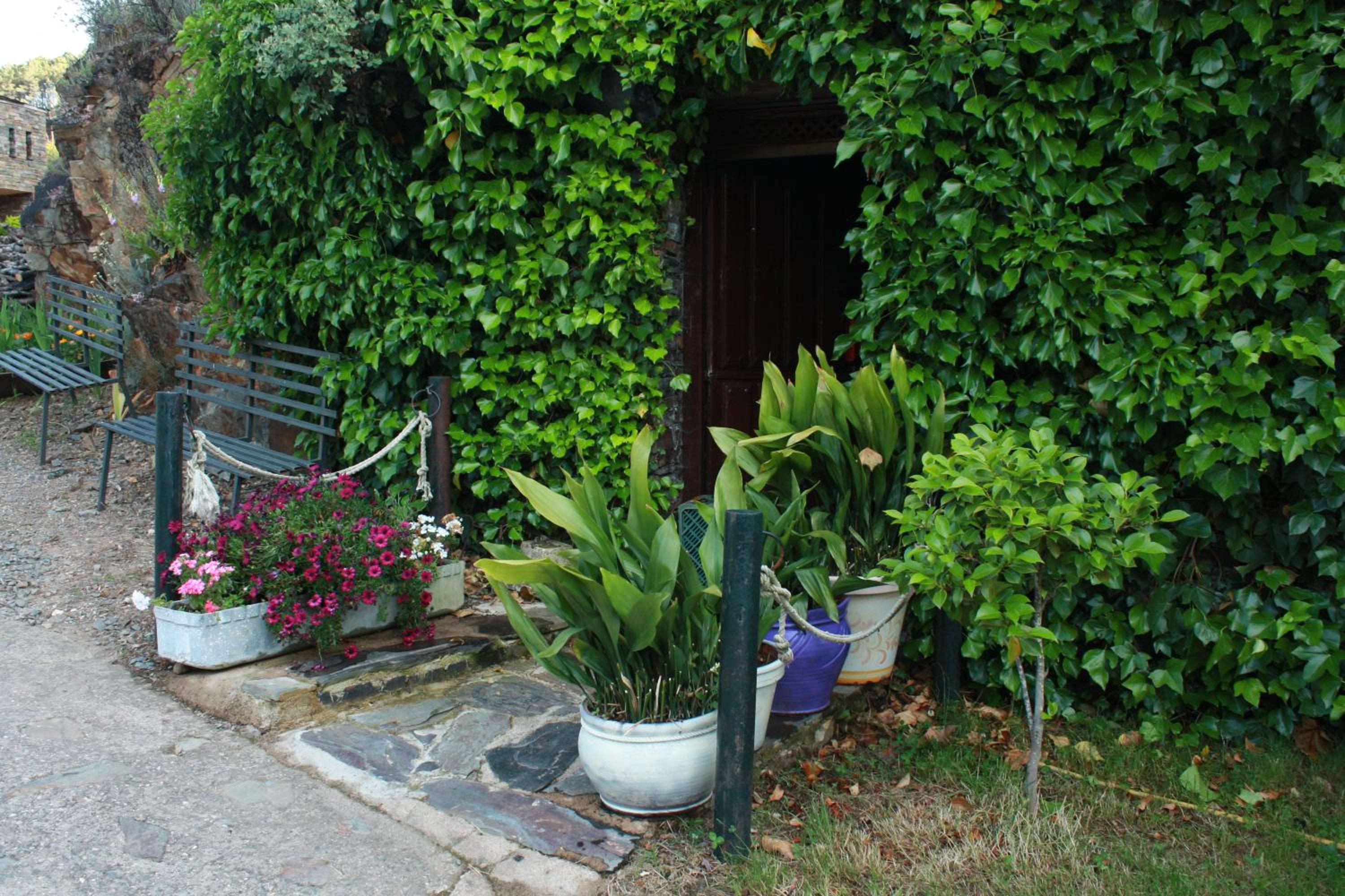 Photo 38
