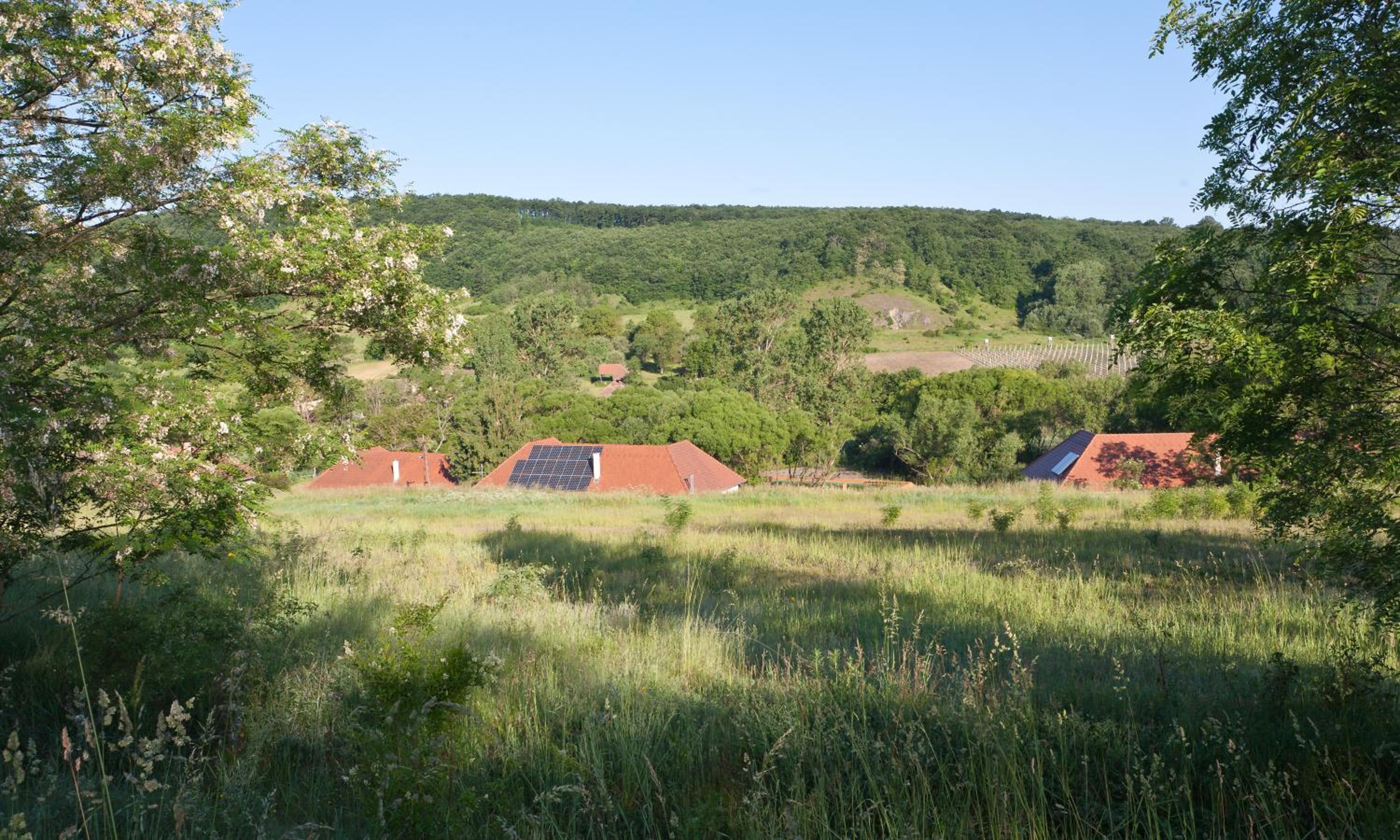 Irota EcoLodge