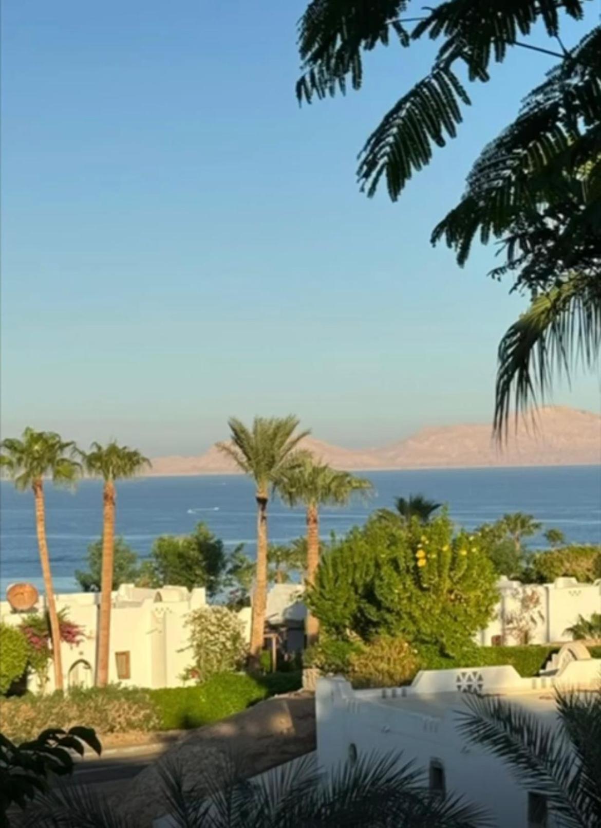 Domina Coral Bay Harem uno