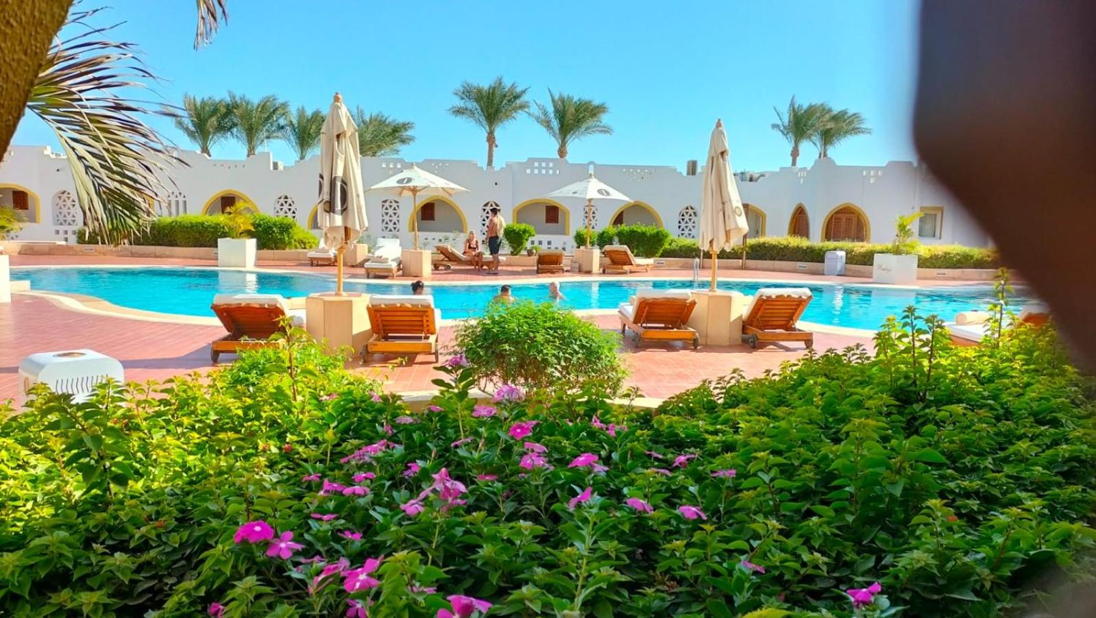 Domina Coral Bay Harem uno