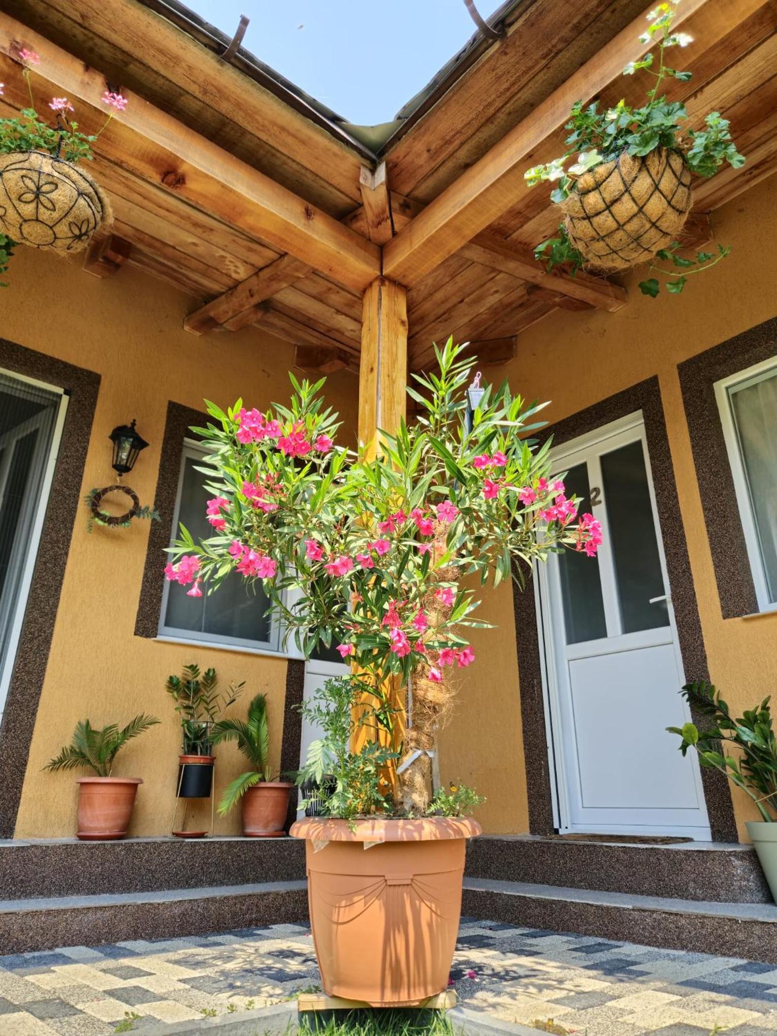 Casa Adrian, photo 37