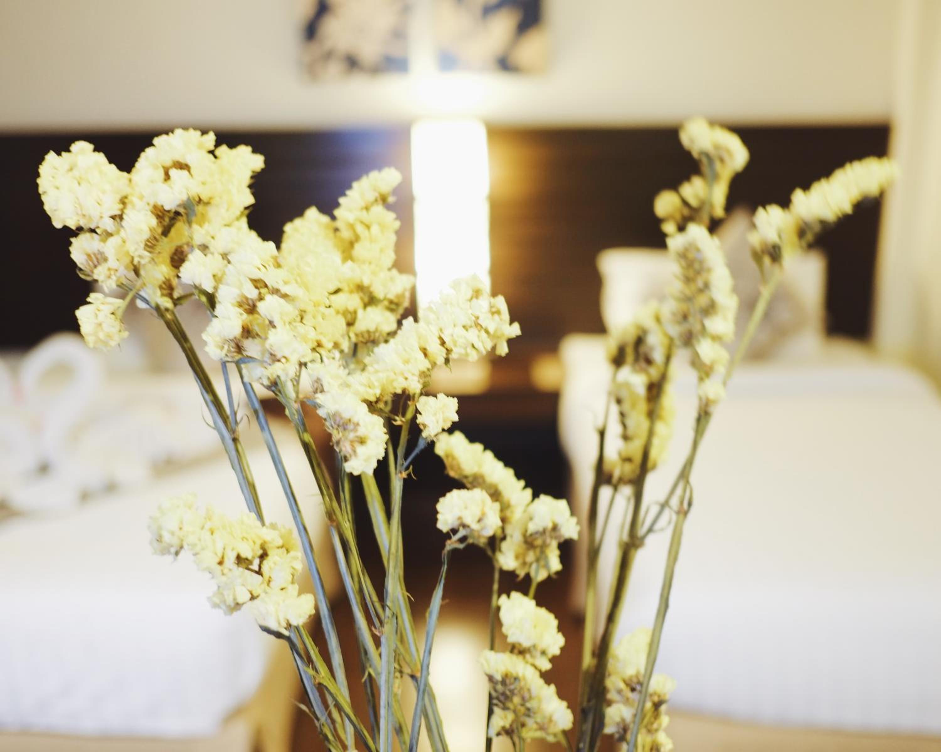Lanta Mermaid Boutique House-Cozy Stay,Seaview, Delicious Breakfast,2 Minutes Walk to the Beach