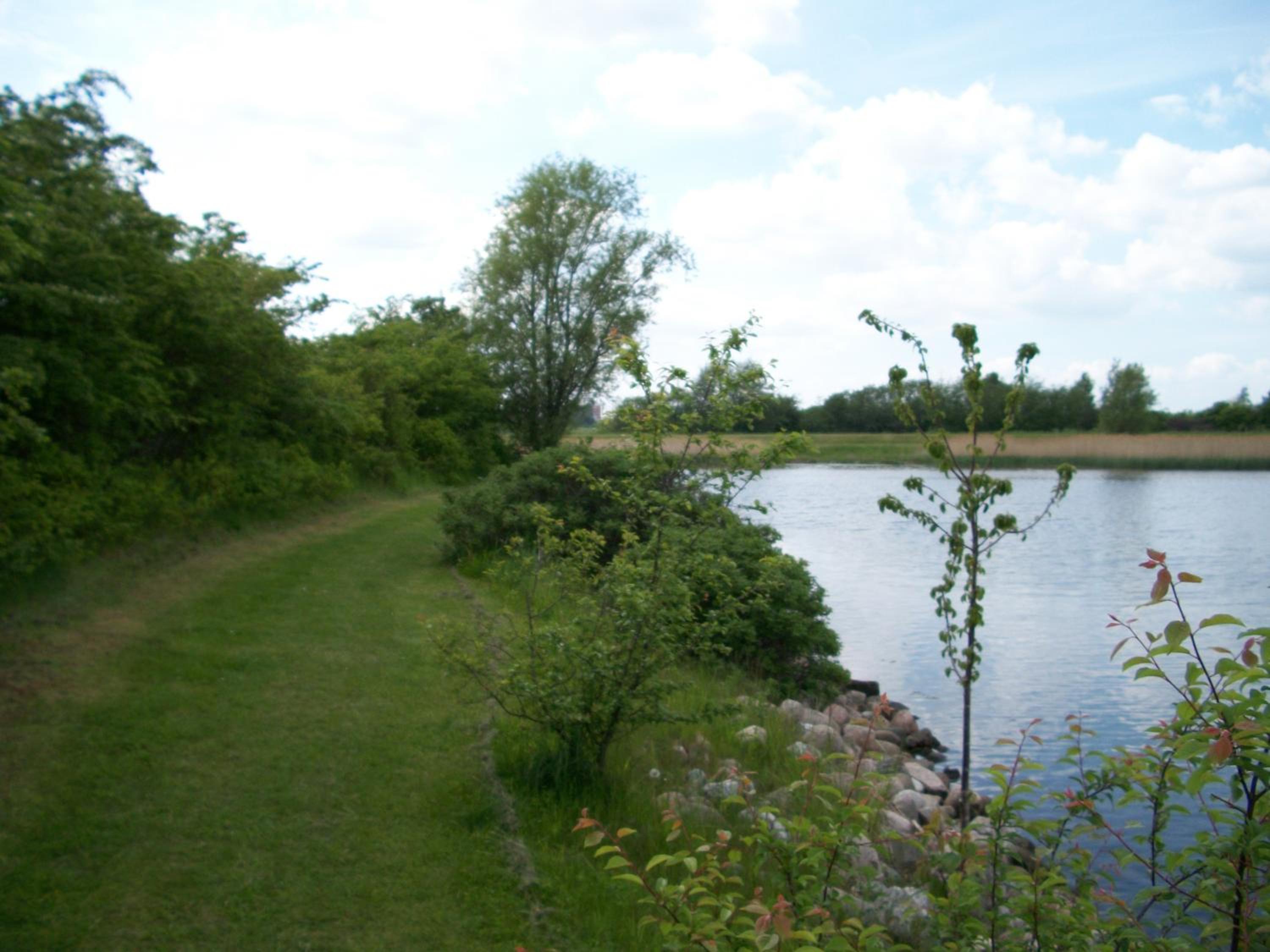 Photo 32